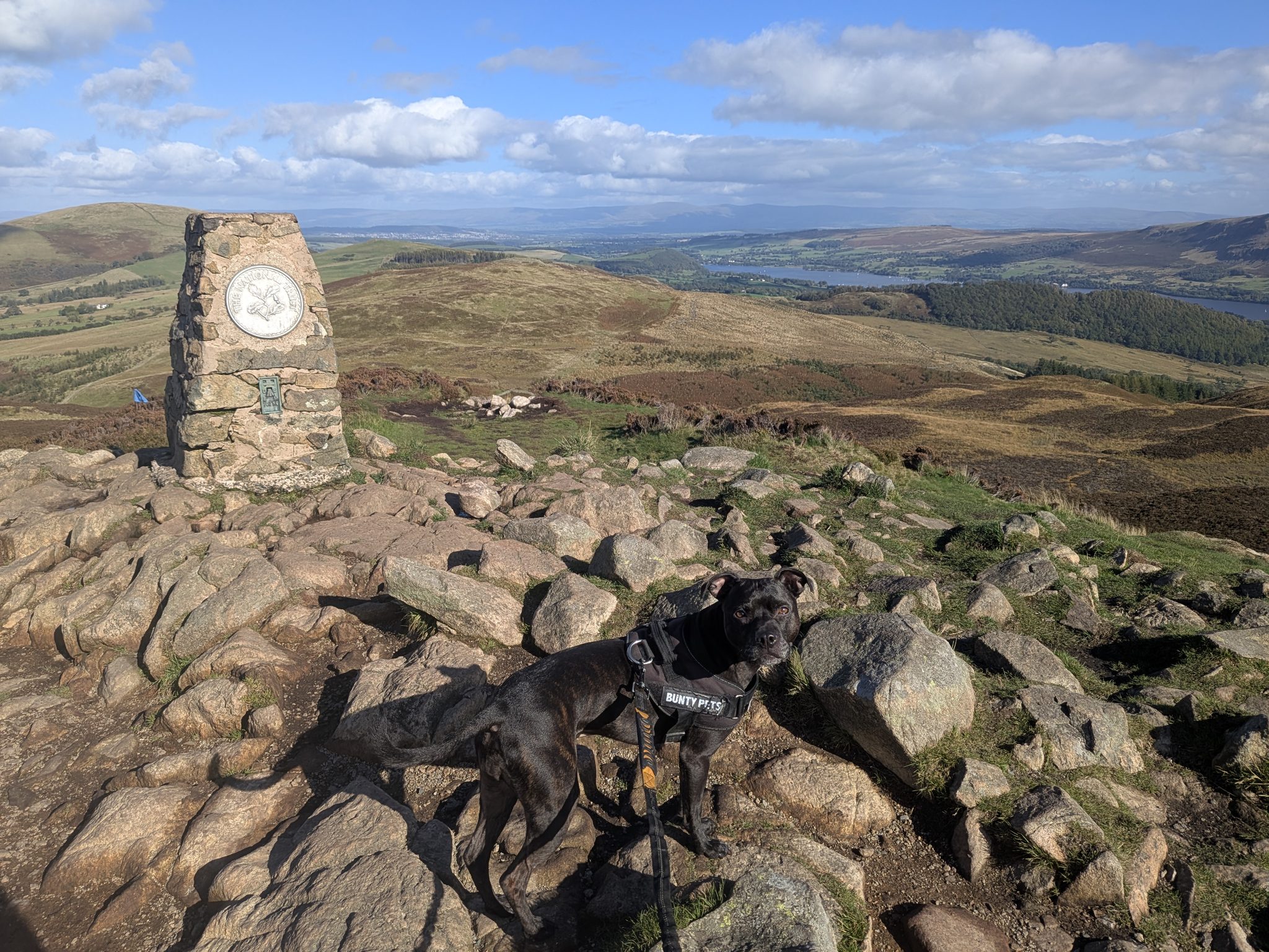 A black Staffordshire Bull Terrier on a lead beside a stone trig pillar on a rocky summit, open country beyond.