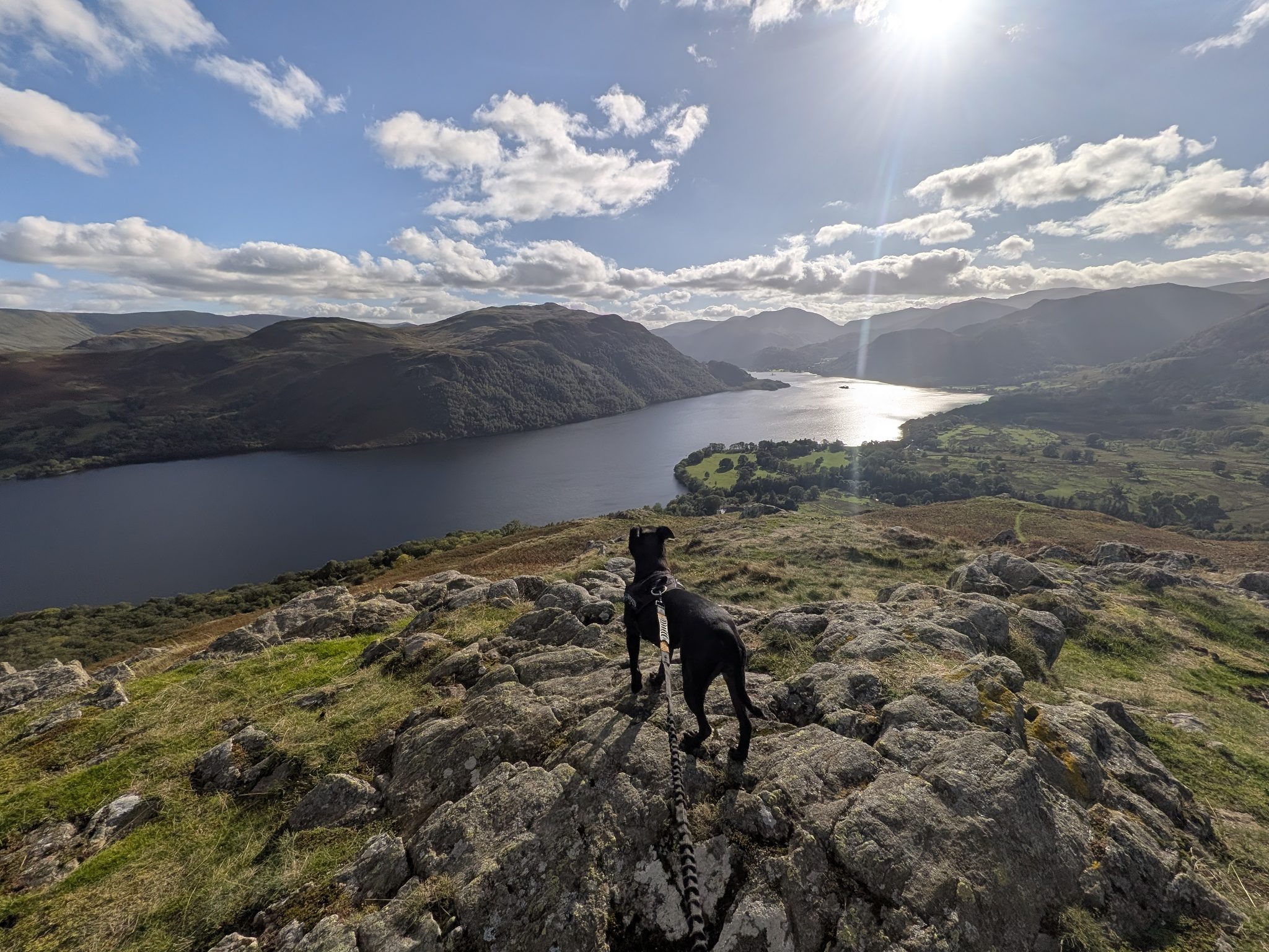 A black Staffordshire Bull Terrier on a lead standing on a rock outcrop above a long lake, with fells beyond under a bright sky.
