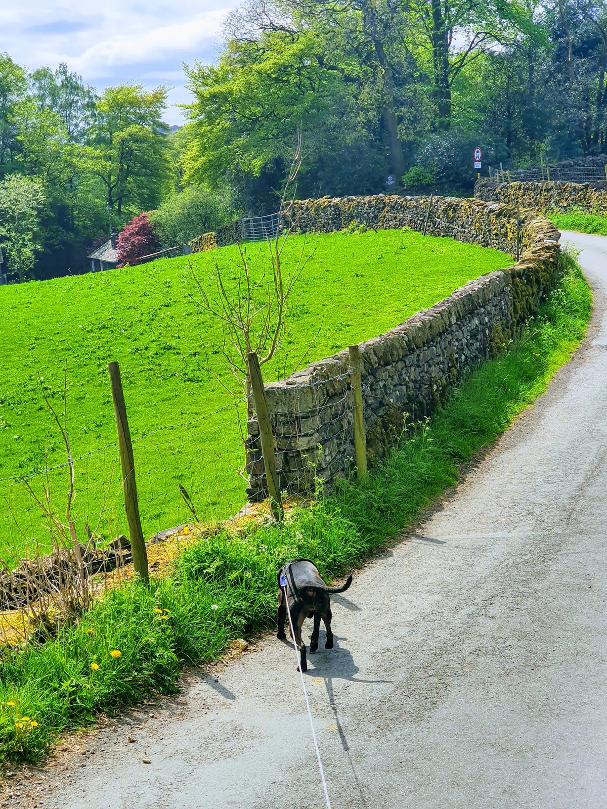 Grasmere, Lake District