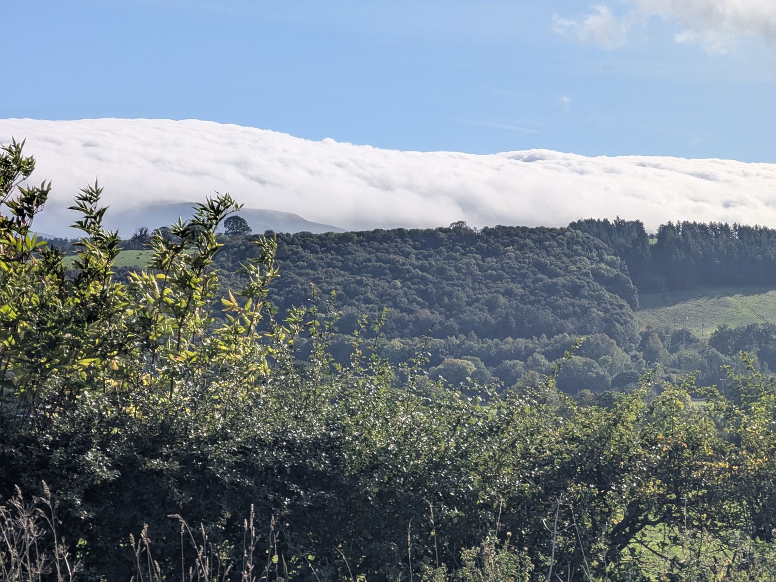 The cloud cap on the ridge seen behind a band of woodland