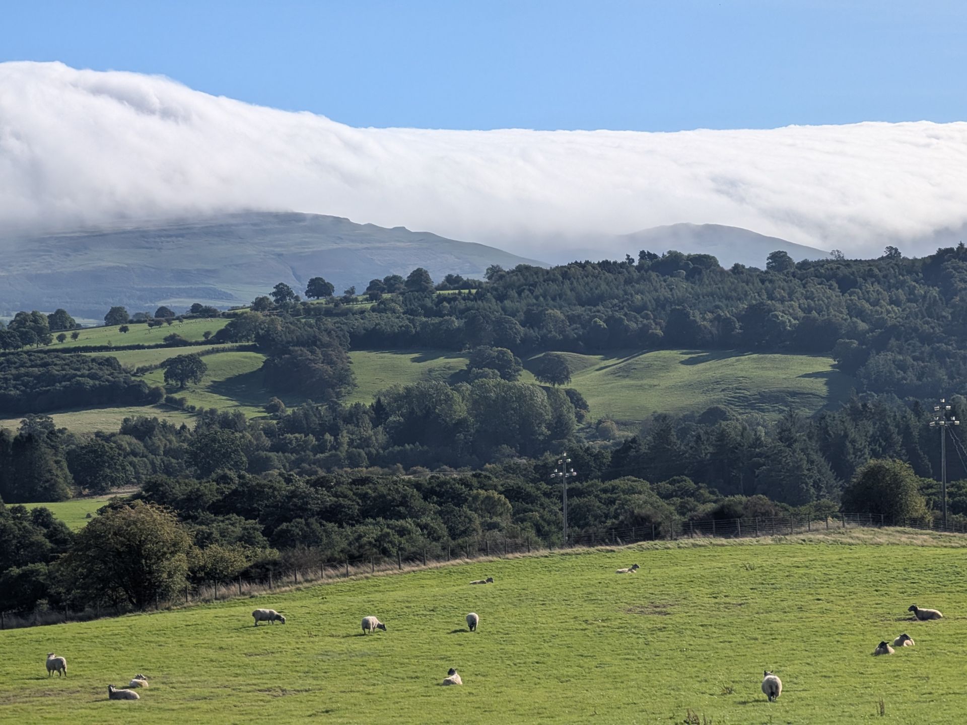 A thick cap of cloud pouring over the Pennine escarpment above green fields, with sheep in the foreground