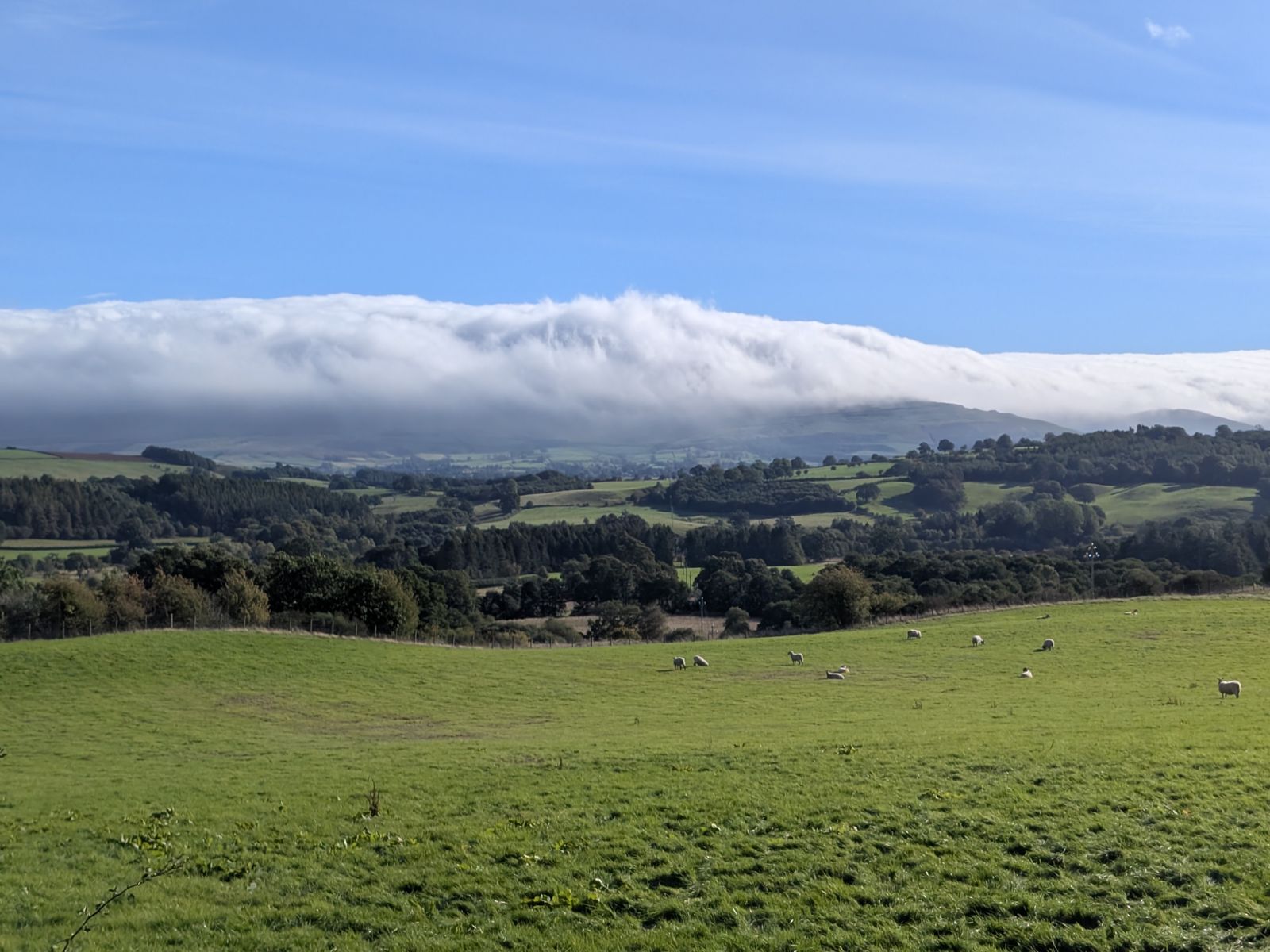 Cloud spilling down the fellside above a wide valley with sheep grazing in the foreground
