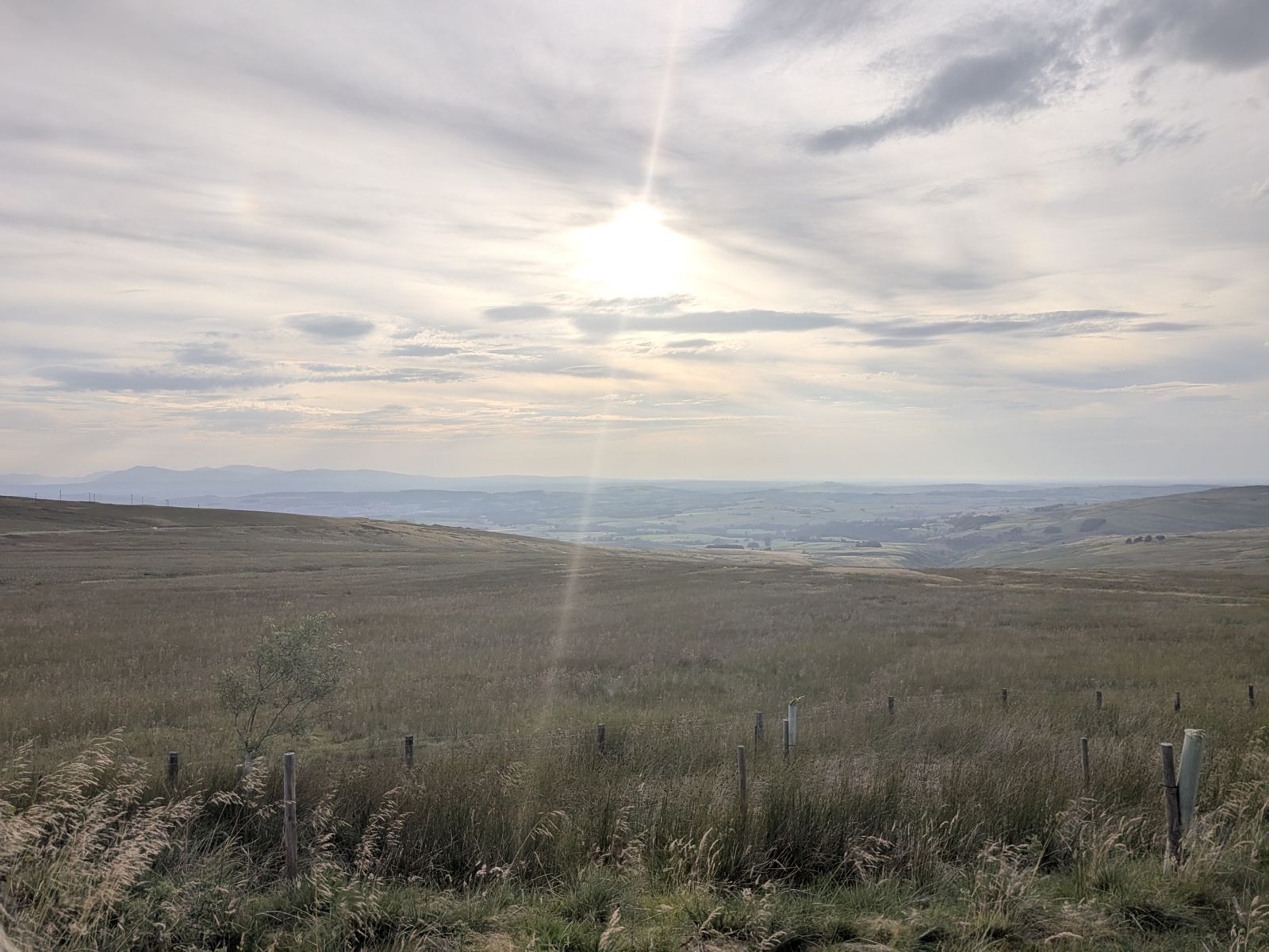 Moorland and a fence on Hartside with a wide view out over the valley and the low sun producing lens flare