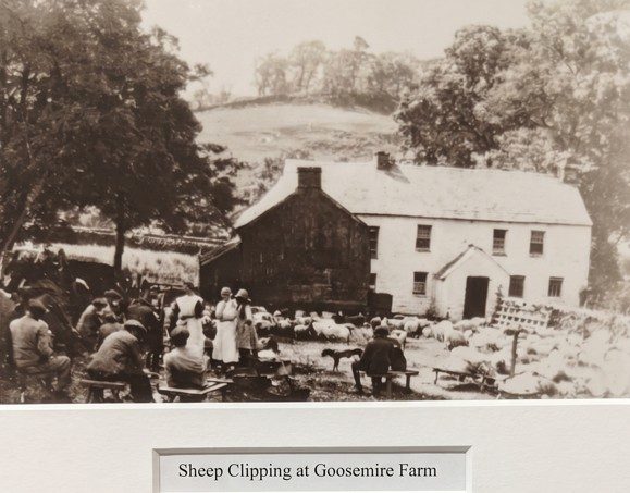 Old sepia photograph of sheep clipping at Goosemire Farm, Mardale: a group of people and sheep in a walled yard in front of a whitewashed farmhouse, captioned 'Sheep Clipping at Goosemire Farm'