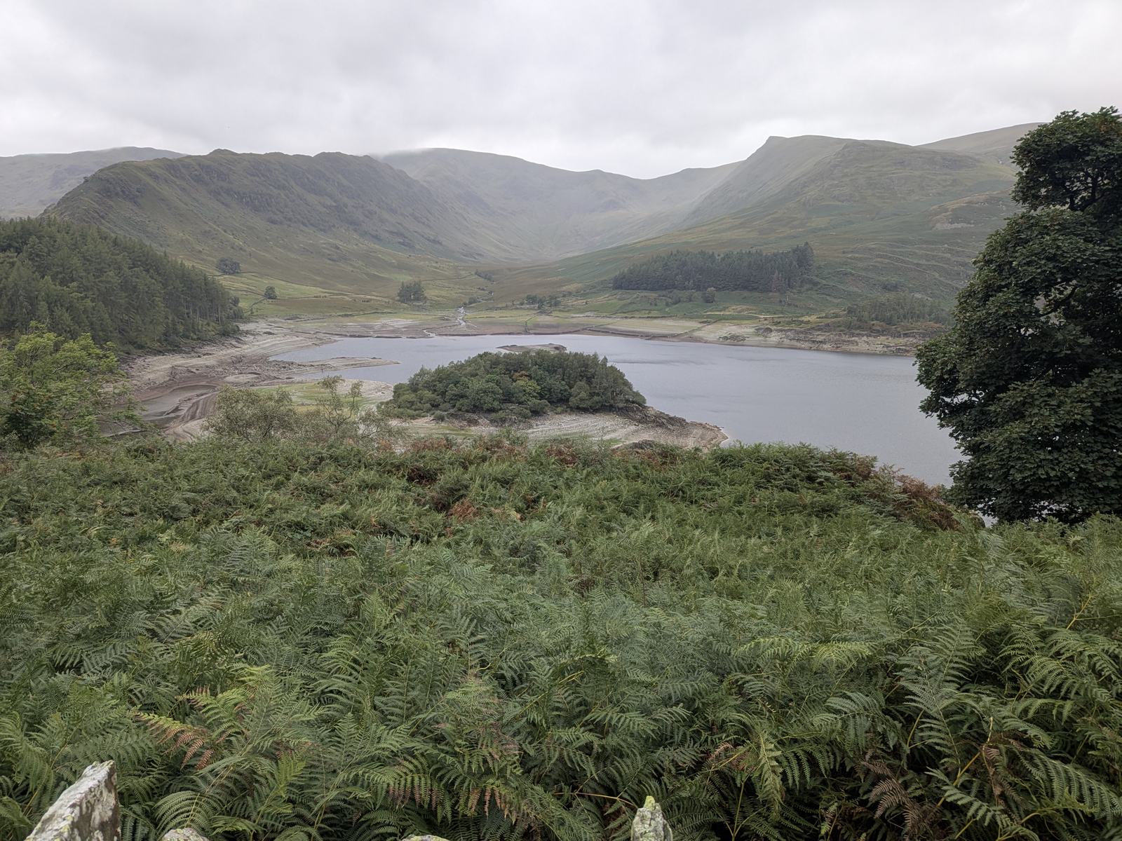 Haweswater from a roadside layby above the eastern shore, looking over bracken to the reservoir with the wooded island of Wood Howe, the exposed pale shoreline, and the fells of Riggindale and High Street closing the valley under cloud
