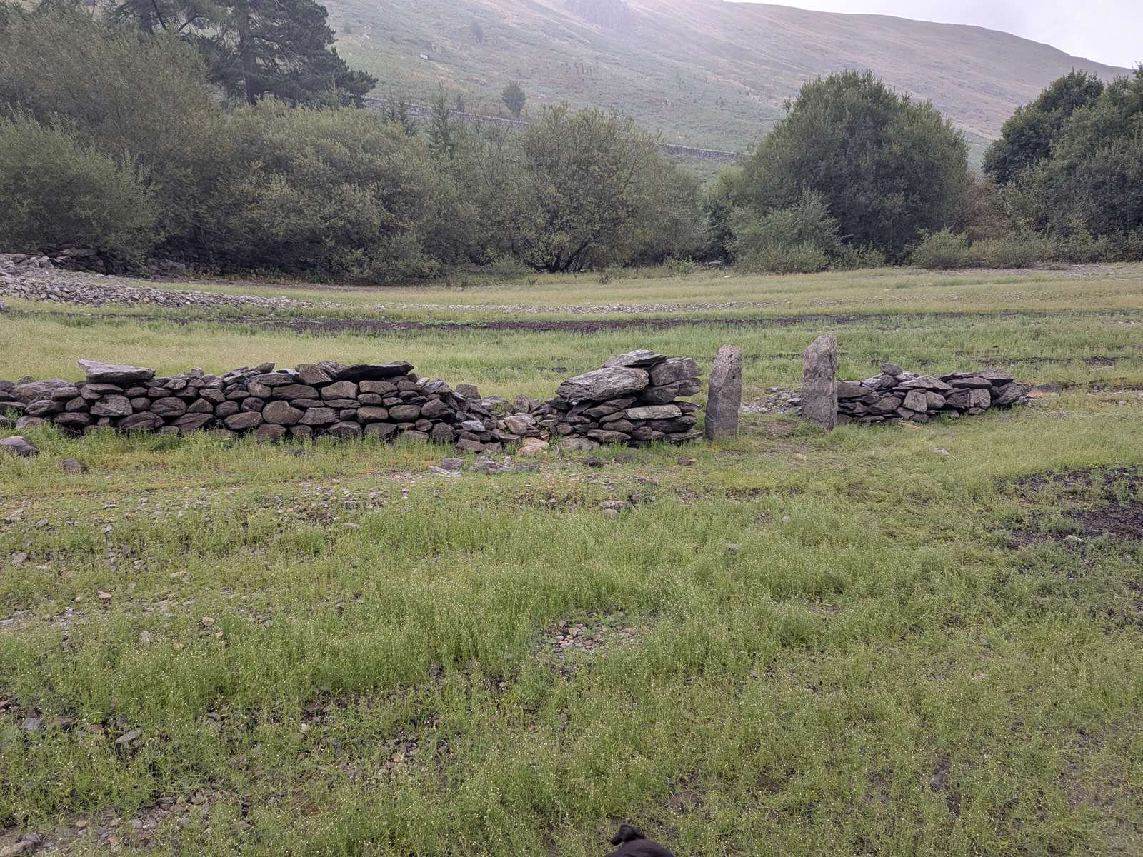 A low drystone wall with two upright stone gateposts standing on the grassed-over bed of Haweswater, the remains of a Mardale Green building, with scrub and the fellside behind