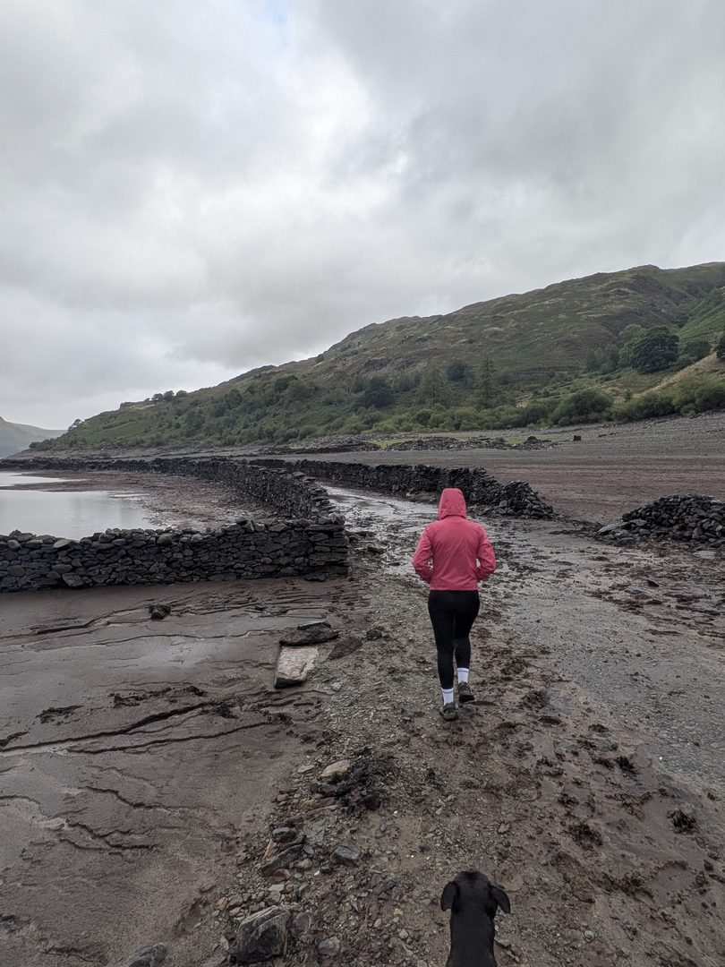 Ellie in a pink jacket walking away along the old walled village road on the muddy bed of Haweswater, with Cass, a black Staffordshire Bull Terrier on the lead, in the foreground, a pool of water on the left and the fellside beyond