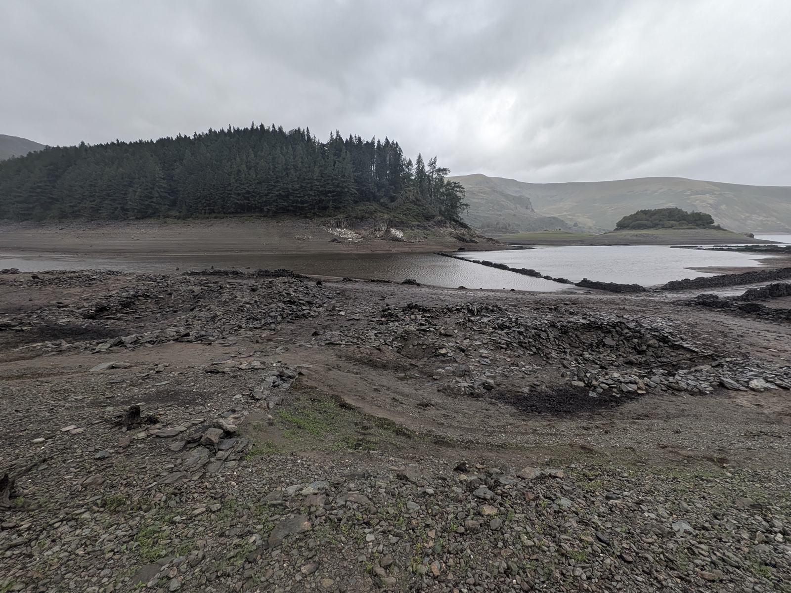 The Rigg, a conifer-covered promontory, seen across the exposed stony bed of Haweswater with lines of old field wall running out towards a pool of water, and the wooded island of Wood Howe small in the distance to the right