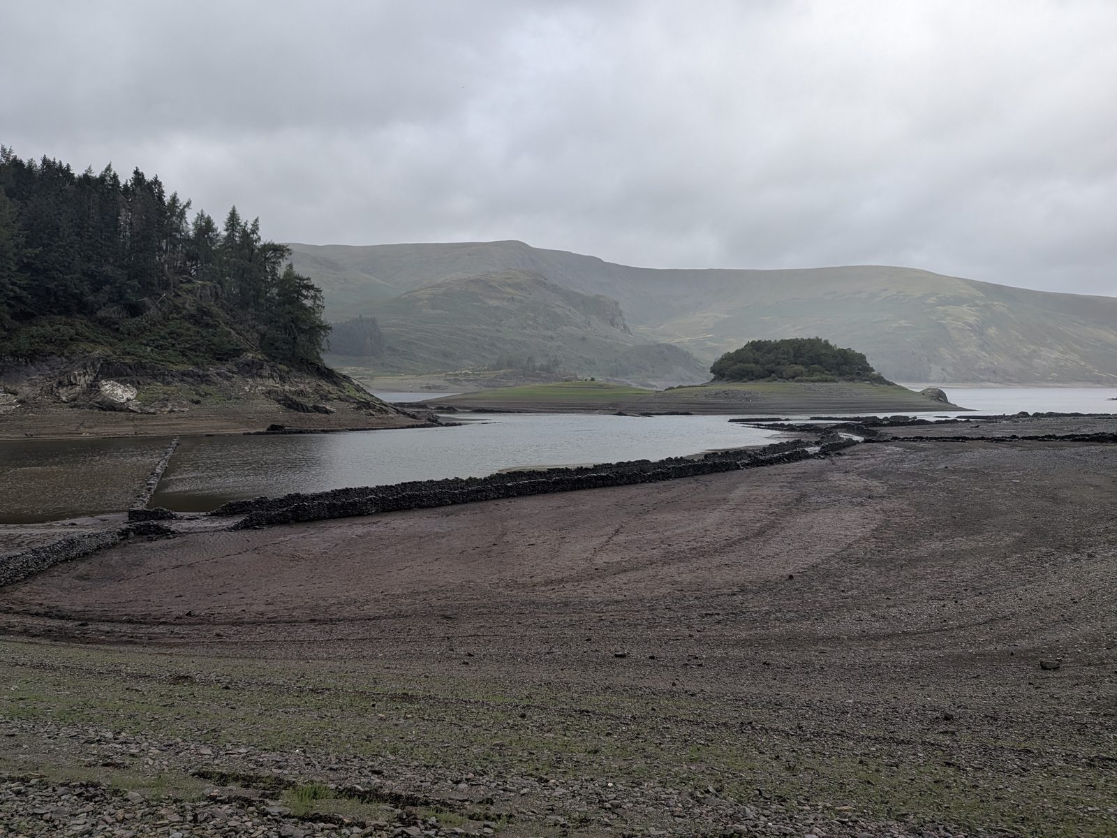 Wide view across the exposed silt bed of Haweswater, with drystone wall lines running towards the water, the conifer-covered promontory of The Rigg on the left and the wooded island of Wood Howe in the middle distance under low cloud