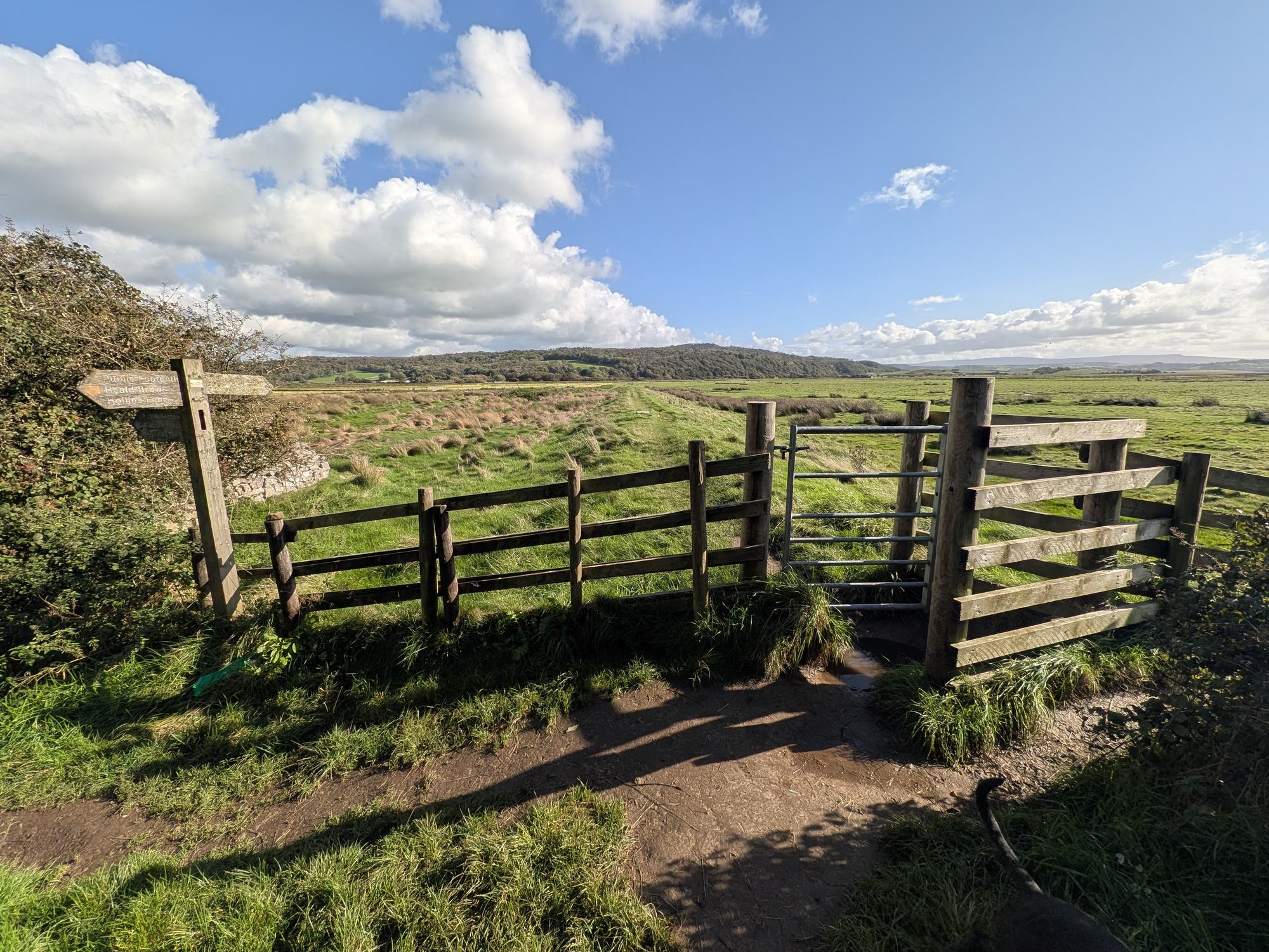 A wooden fingerpost for Heald Brow and Hollins Lane beside a metal gate that opens onto a raised path across saltmarsh
