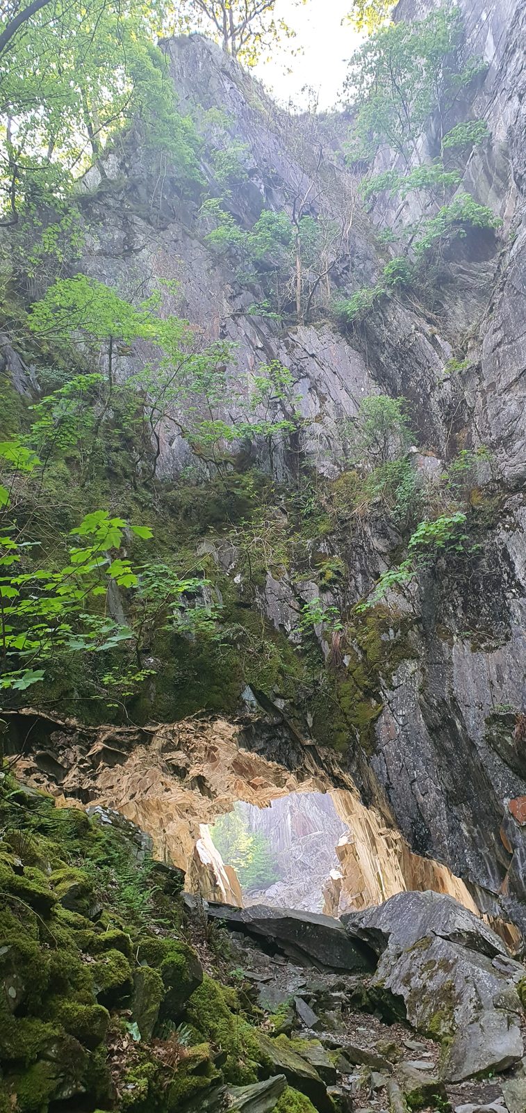 Hodge Close Quarry, Little Langdale, Lake District
