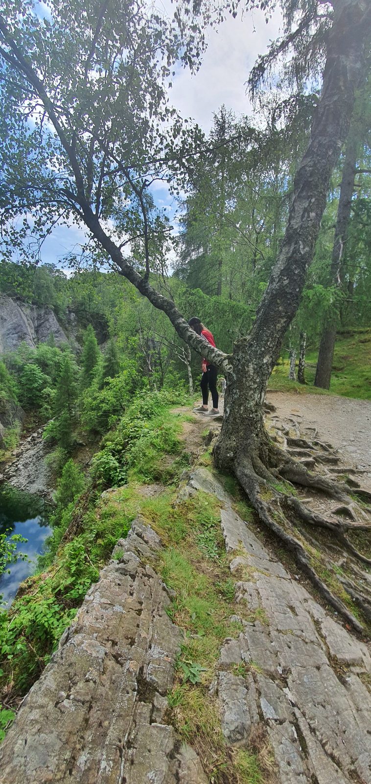 Hodge Close Quarry, Little Langdale, Lake District