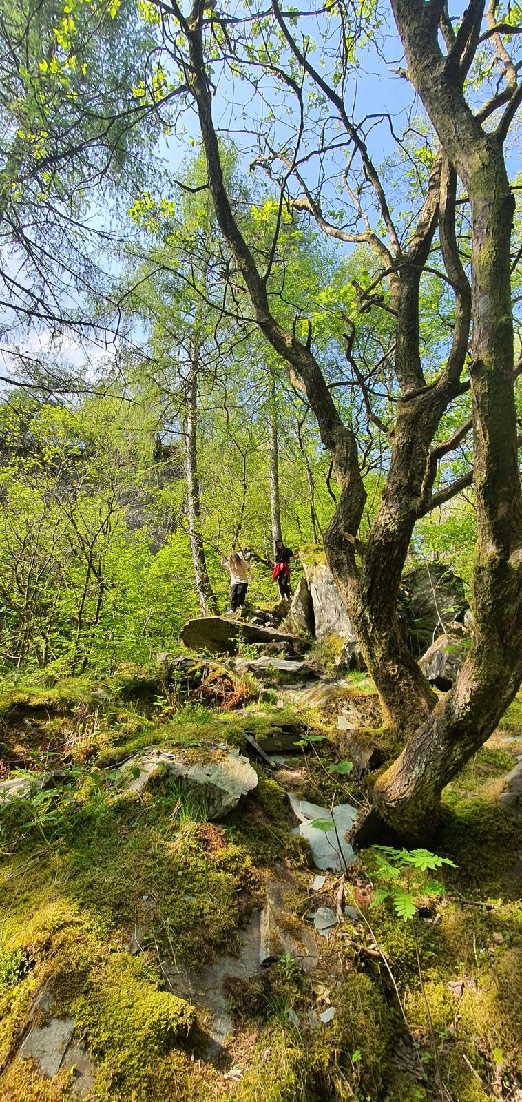 Hodge Close Quarry, Little Langdale, Lake District