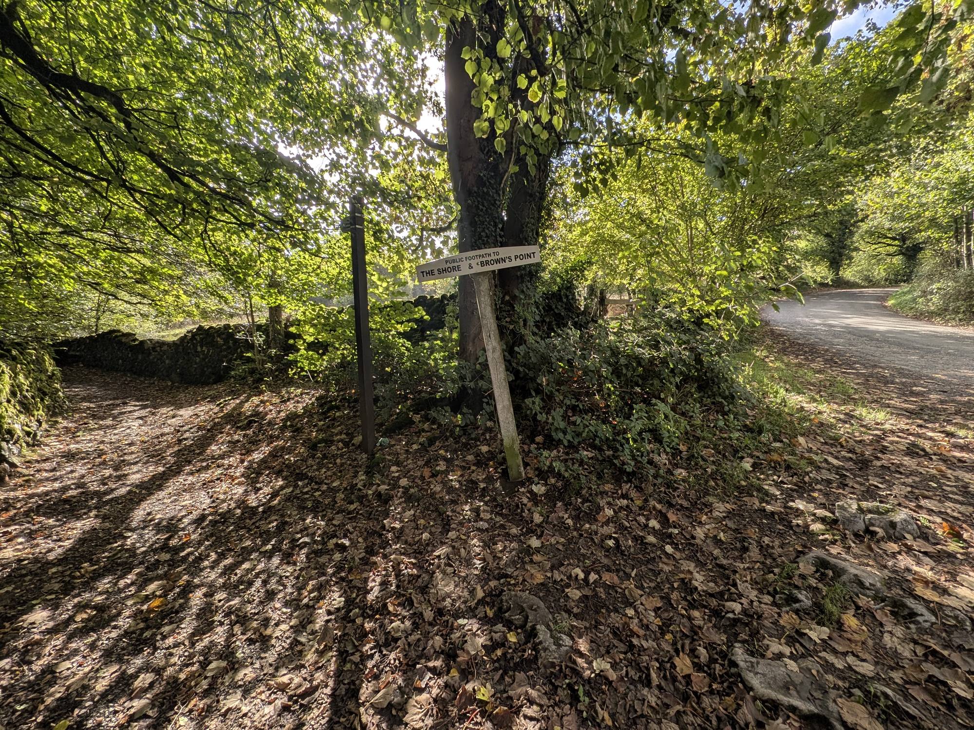 A leaning white sign reading Public Footpath to The Shore and Brown's Point where a leafy track meets a lane