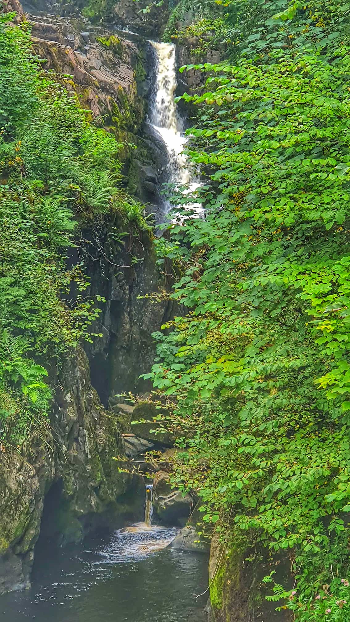 Thornton Force, a 14-metre curtain waterfall over a limestone lip on the Ingleton Waterfalls Trail