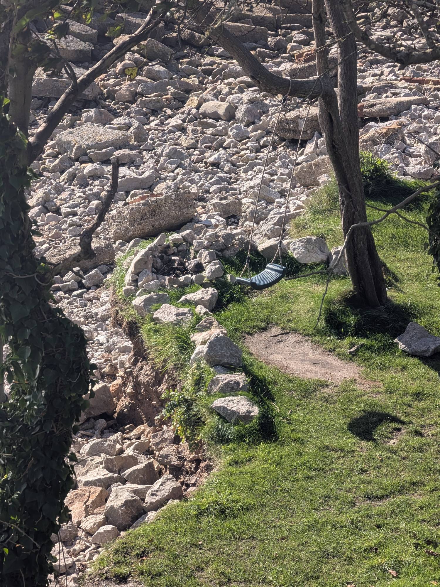 A rope swing hanging from a tree on a grassy bank above a shingle and boulder shore