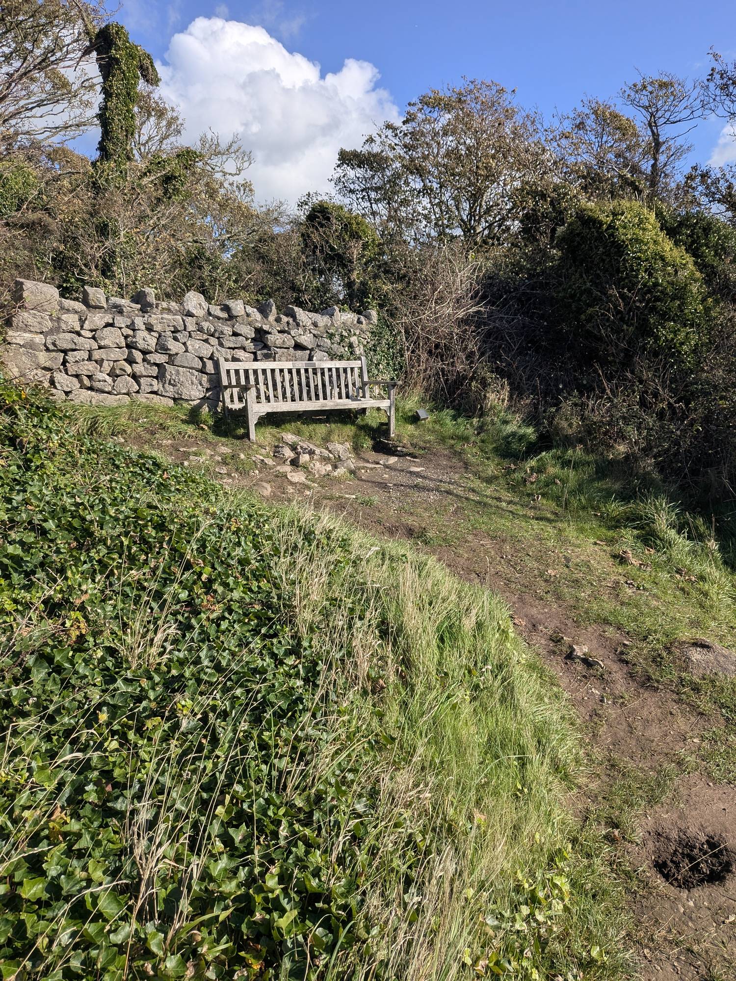 A wooden bench against a drystone wall on a grassy slope at the first bay viewpoint