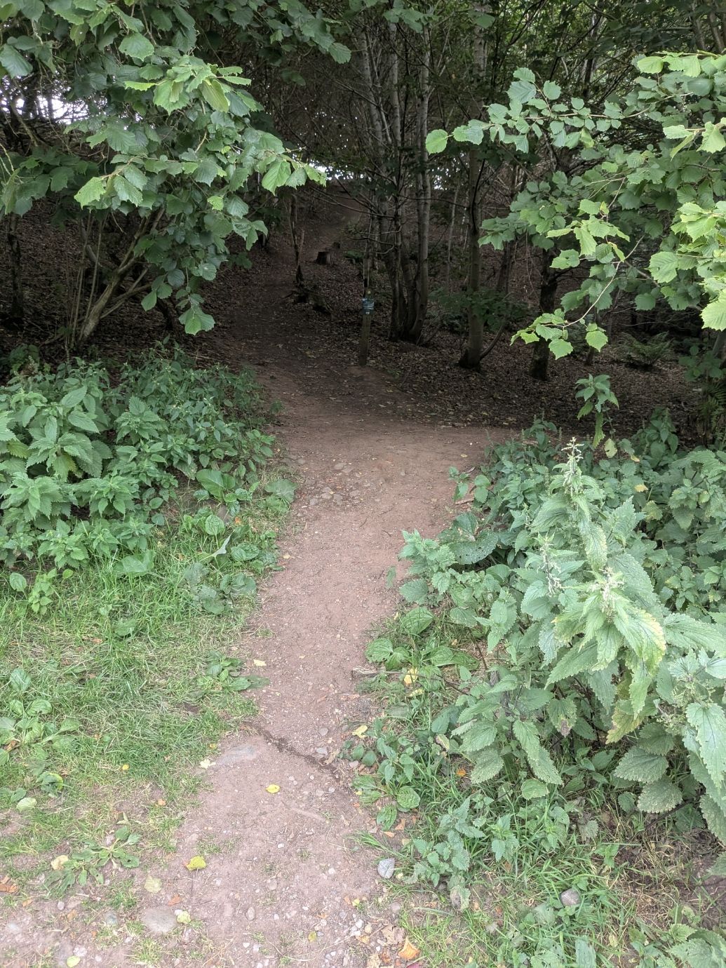 The gap in the wall where the Lacy's Caves path starts, near Kirkoswald