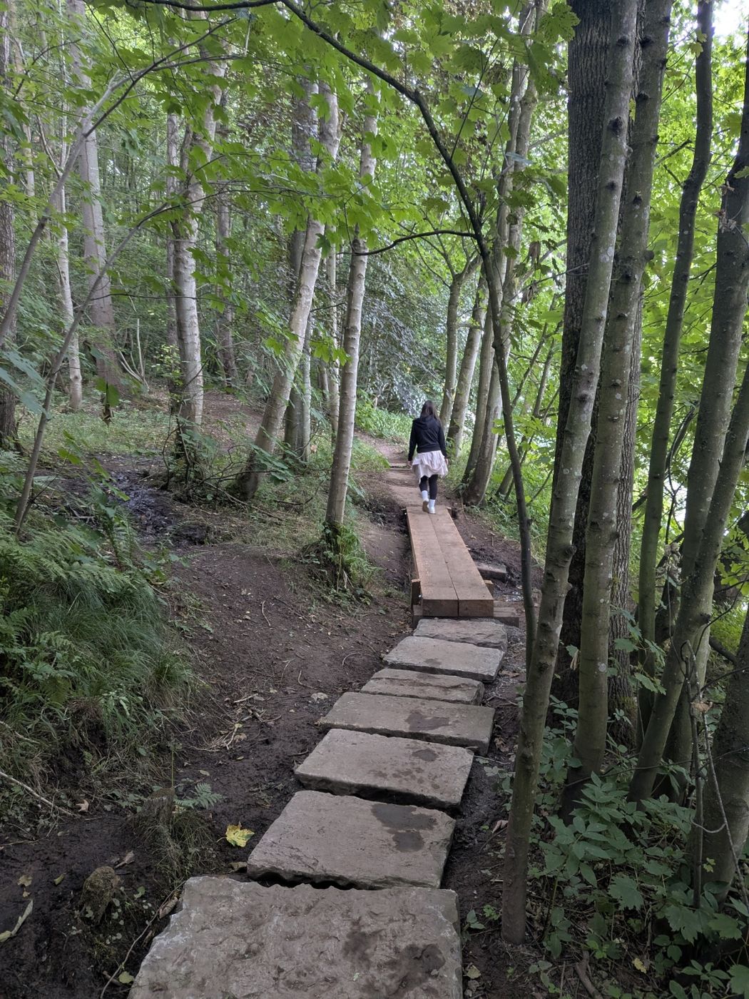 Wooden steps and the narrow eroded section of the Lacy's Caves path above the River Eden, Kirkoswald