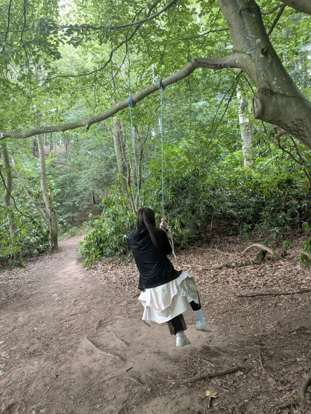 A rope swing in the woods on the path to Lacy's Caves, near Kirkoswald