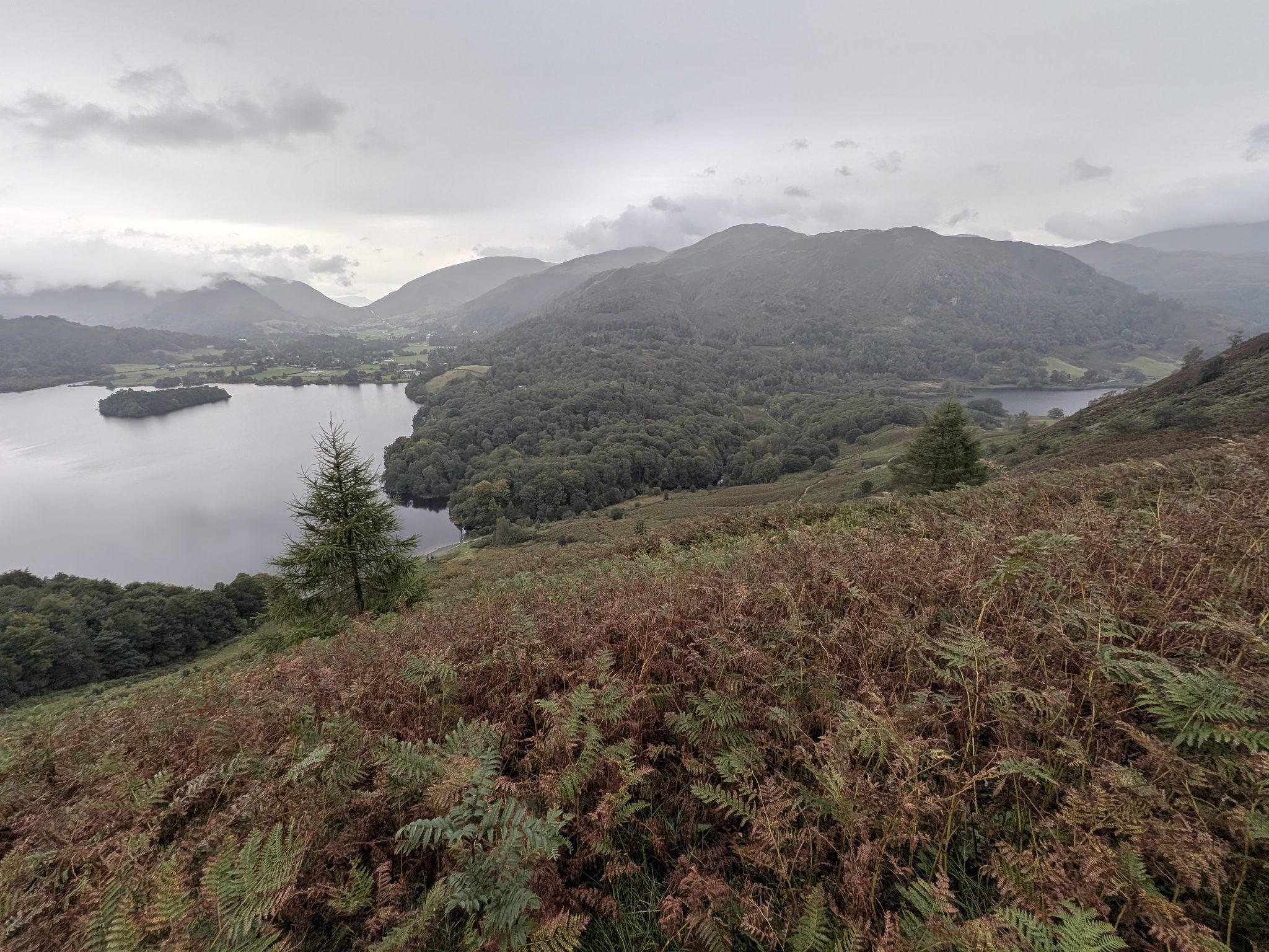 Grasmere through the bracken on Loughrigg Fell