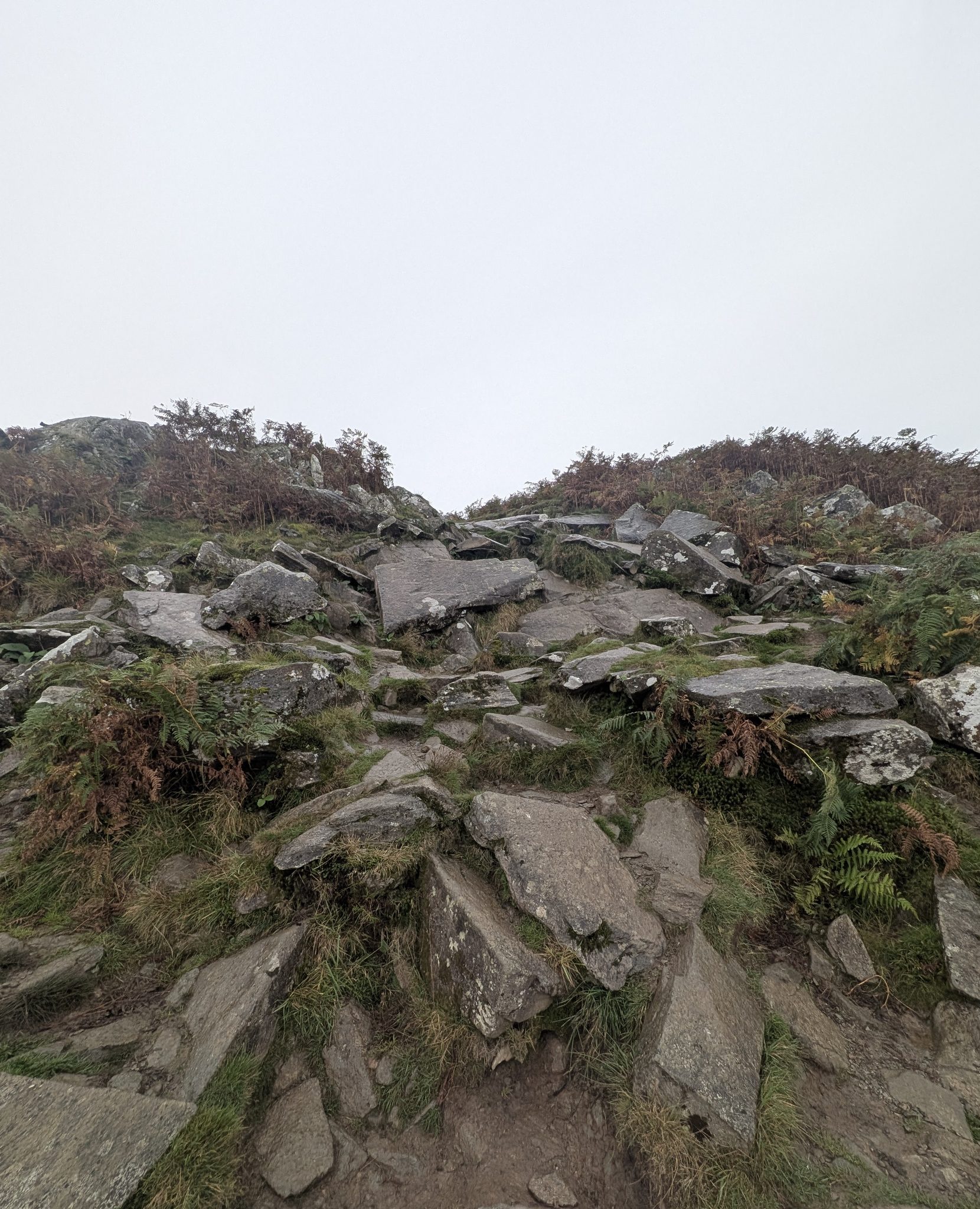 The rocky north-side route on Loughrigg Fell