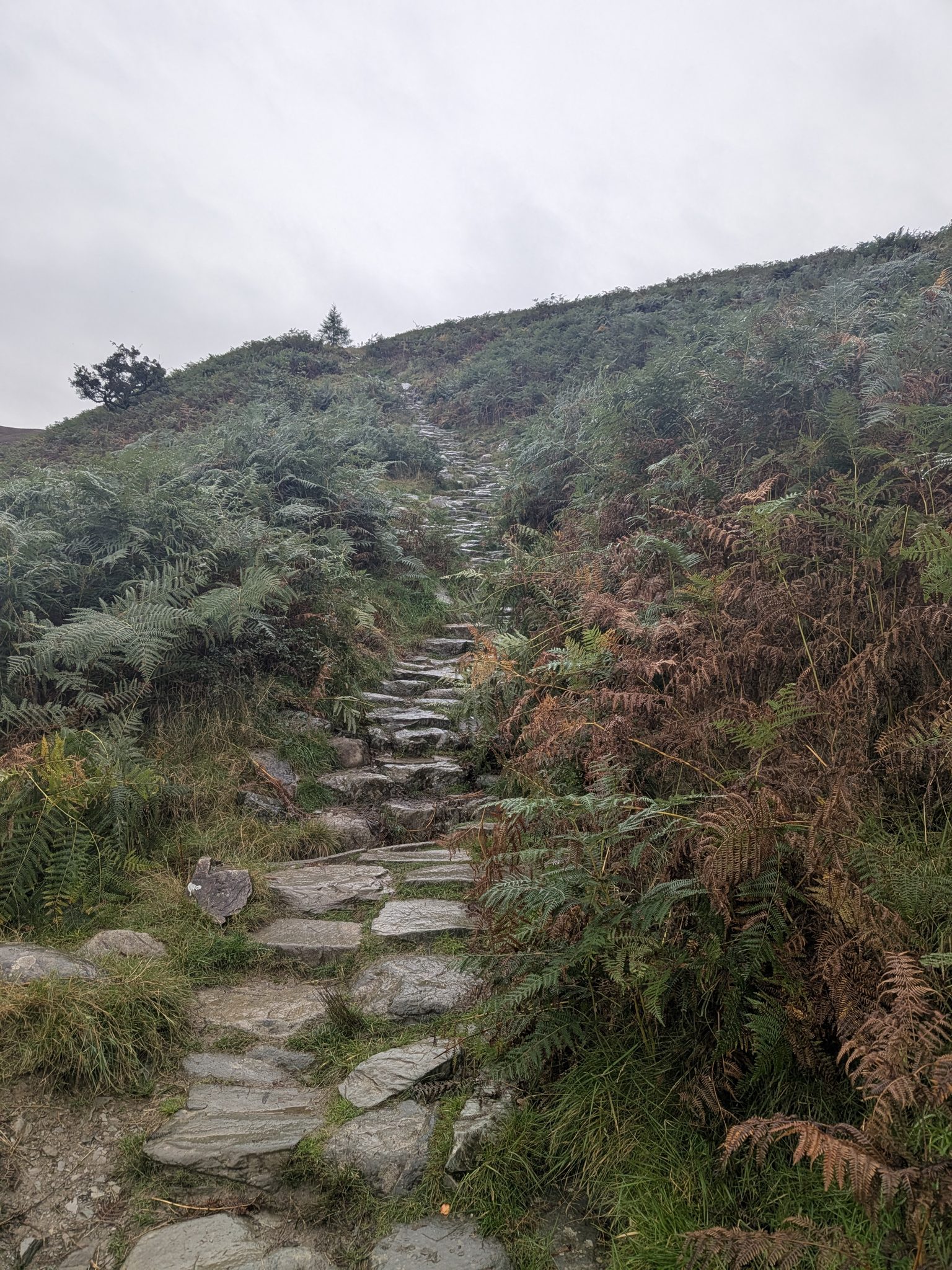The stone steps on the north side of Loughrigg Fell