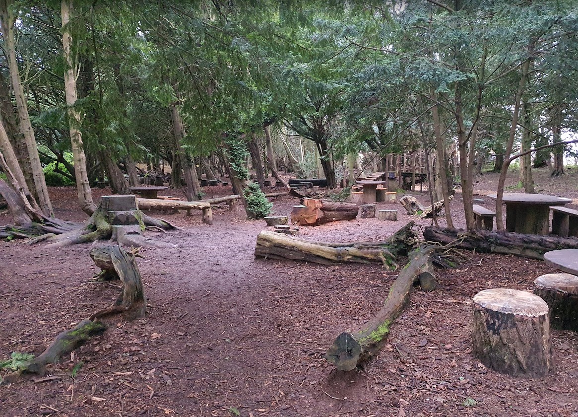 The wider Lost Castle playground at Lowther spread through woodland — felled logs to clamber on, tree-stump seats and picnic tables under the trees