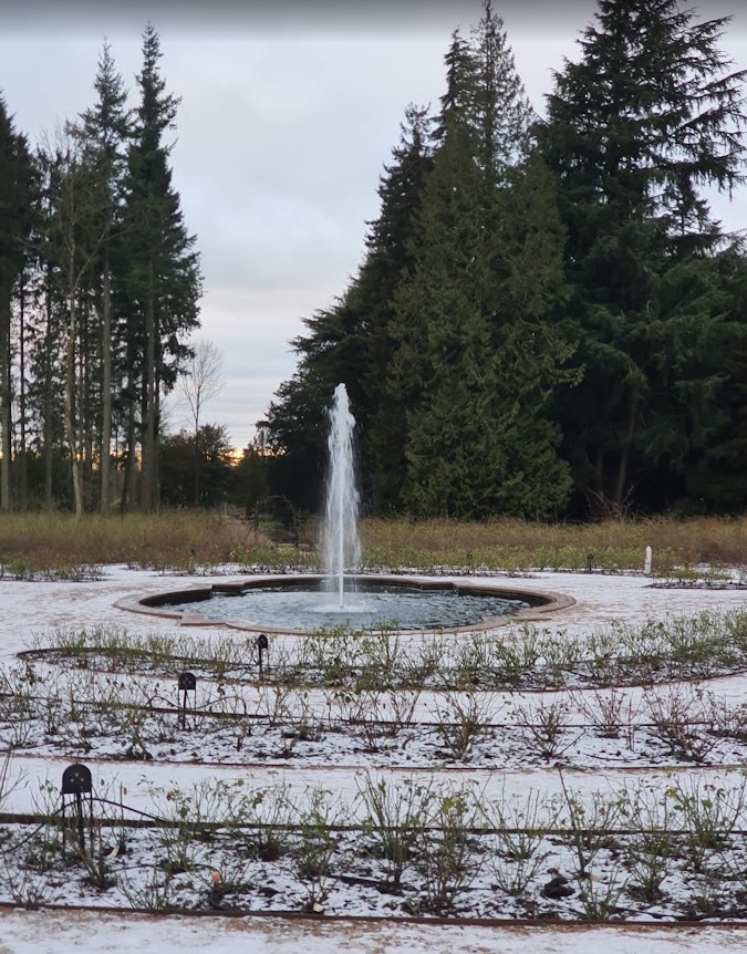 The fountain in the Rose Garden at Lowther Castle, its beds under frost and snow, tall conifers behind in low winter light