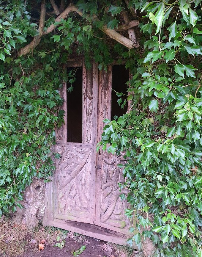 A carved wooden door set into dense ivy in the gardens at Lowther Castle, Cumbria