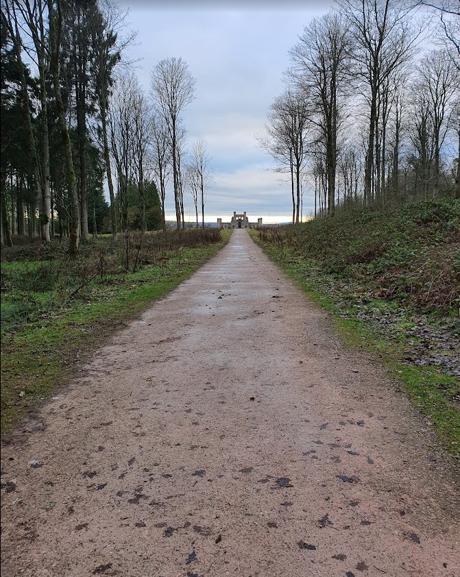 A long straight tree-lined track leading towards Lowther Castle in the distance, bare winter branches either side