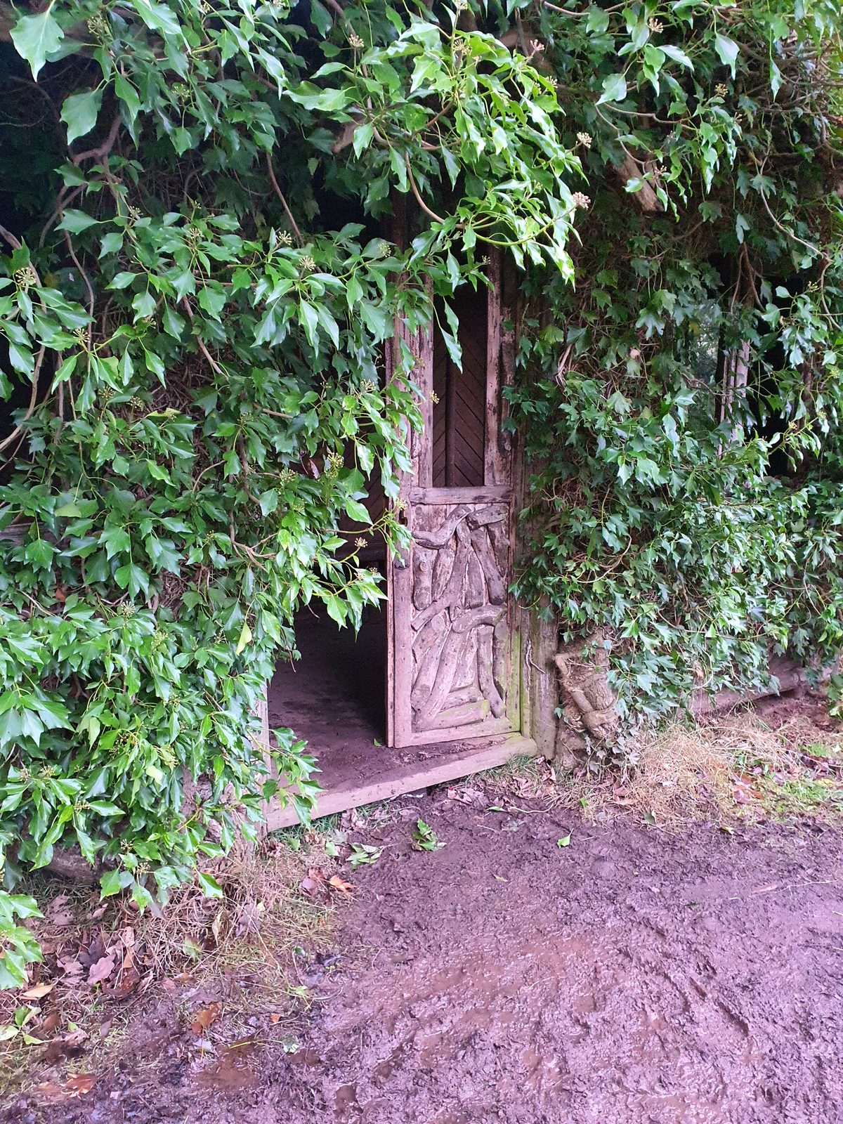 A garden doorway at Lowther Castle standing ajar beneath dense ivy, its lower panel decorated with rustic branchwork