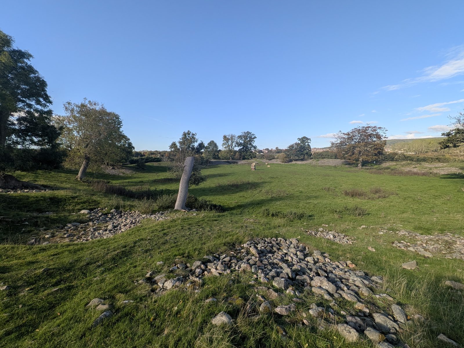 Inside Mayburgh Henge at Eamont Bridge: the single standing stone, the cobble bank and scattered river cobbles in the grass