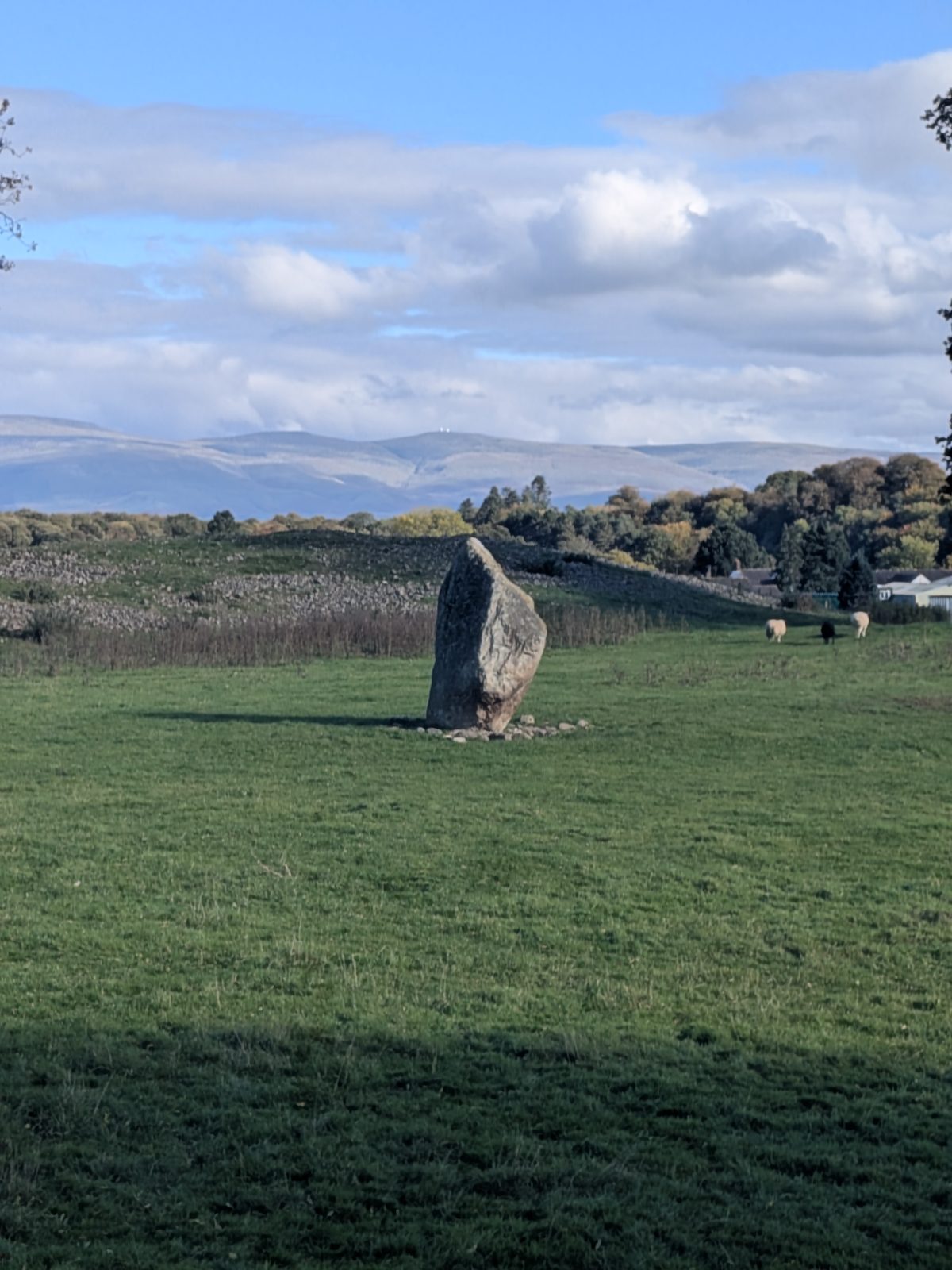 The single standing stone inside Mayburgh Henge with sheep grazing beyond it and the Lake District fells on the horizon