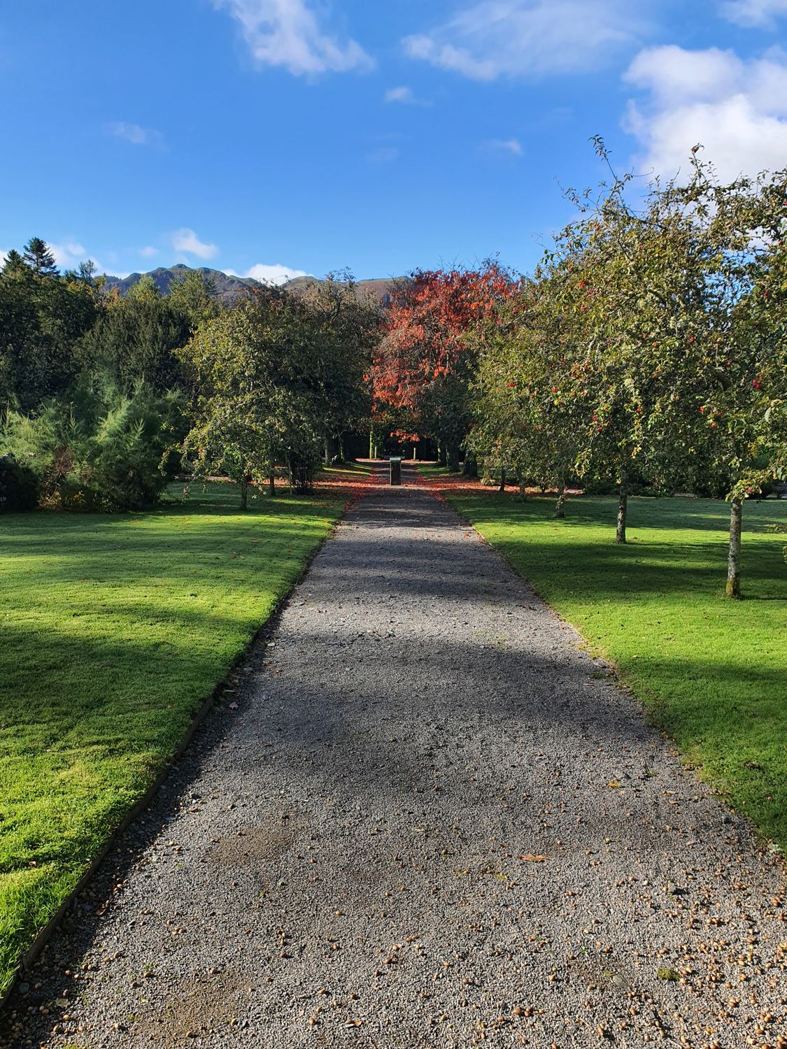 A garden path through the grounds in autumn colour