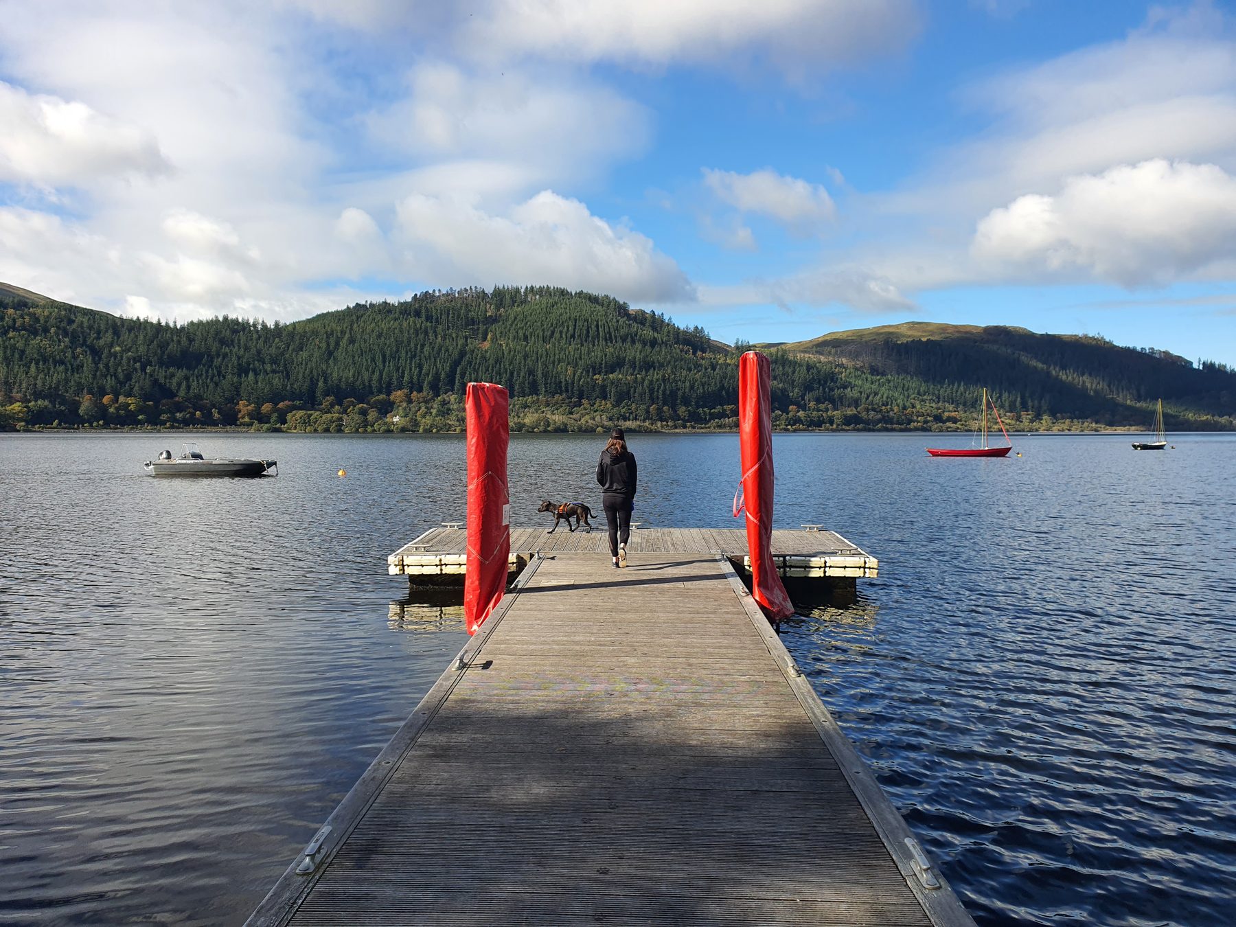 The jetty reaching out onto Bassenthwaite Lake at Mirehouse, with a walker and dog heading down it and the forested fells beyond