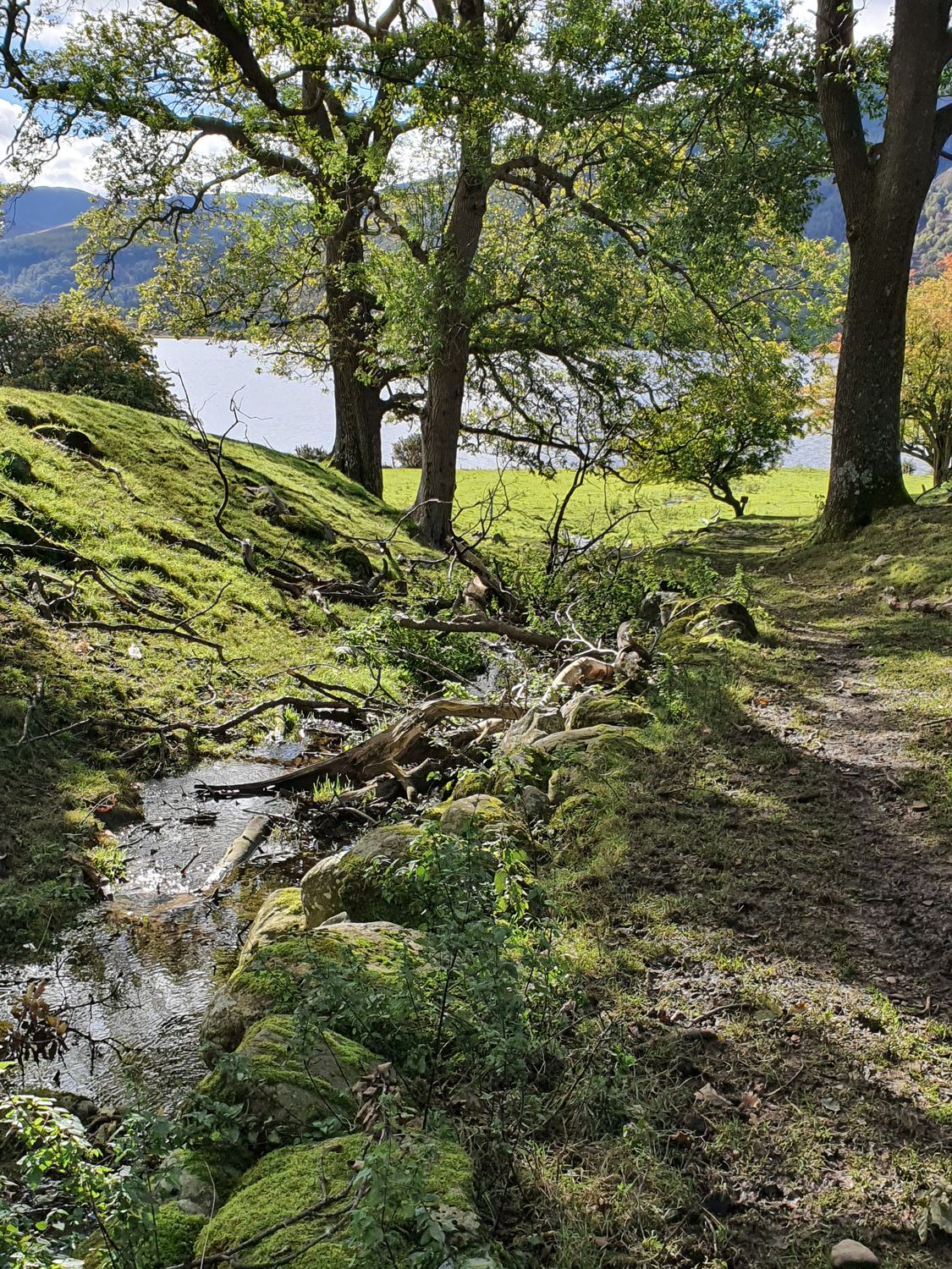 Mossy rocks and a beck in the grounds woodland, on the walk down to the lake