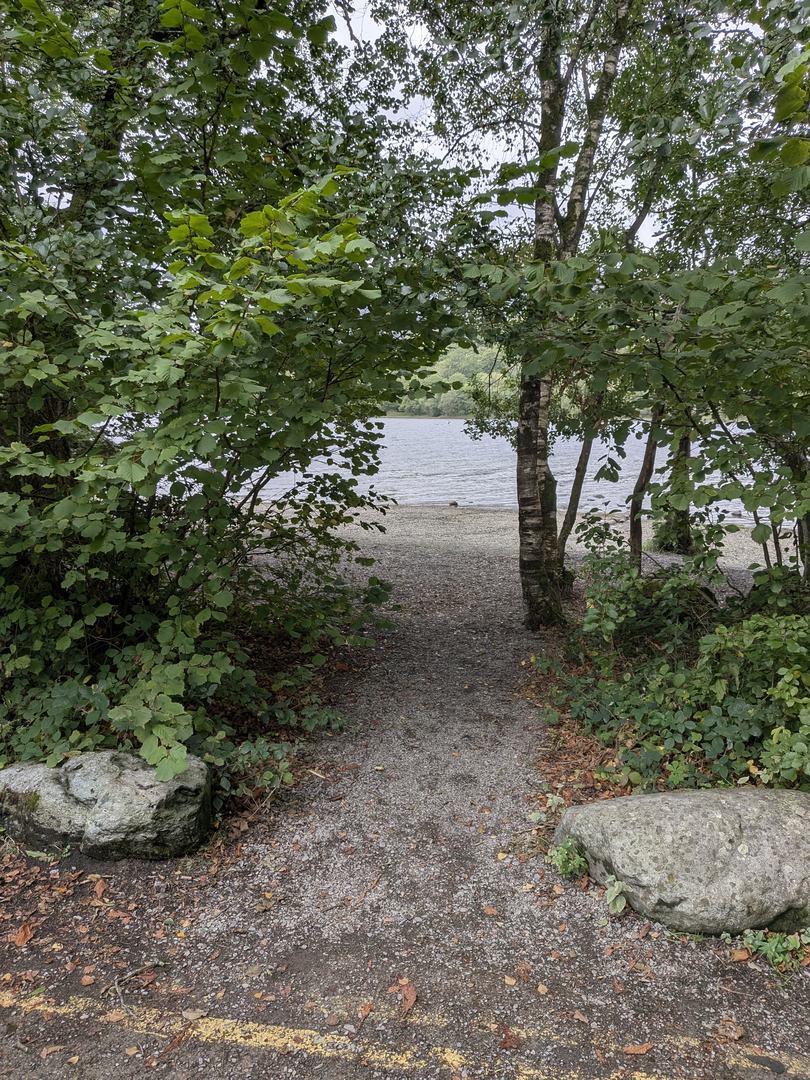 Gravel path leading between trees to the stony shore of Coniston Water at Monk Coniston
