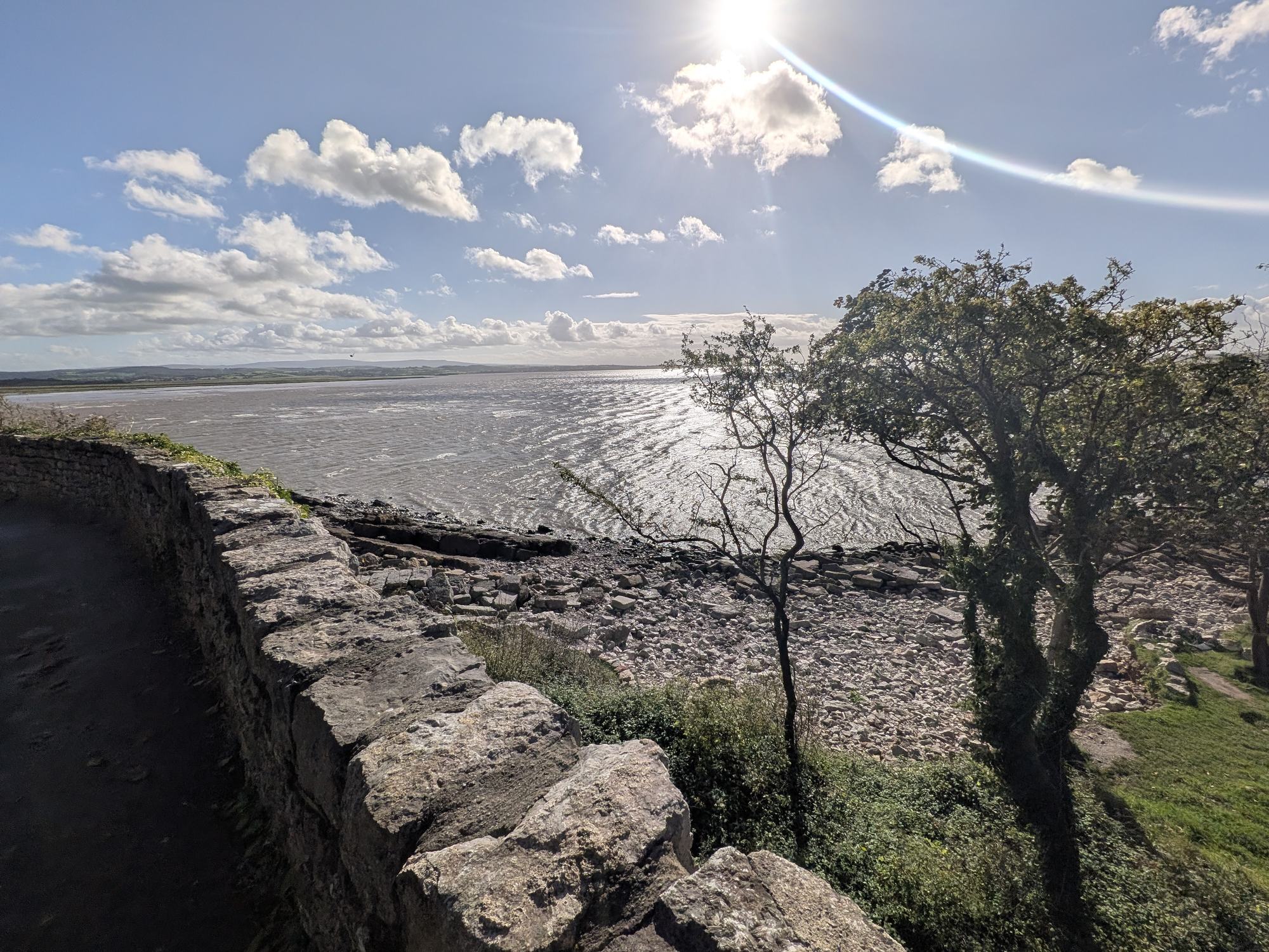Morecambe Bay glittering in the sun beyond a drystone wall, wind-bent trees and a shingle shore