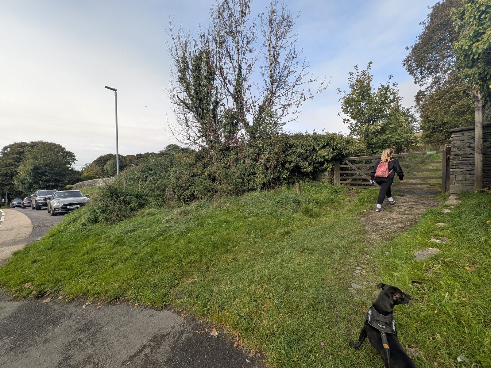 Maddie walking through the gate by the side of the A591 at the start of our route up Orrest Head, with Cass the Staffordshire Bull Terrier on the lead