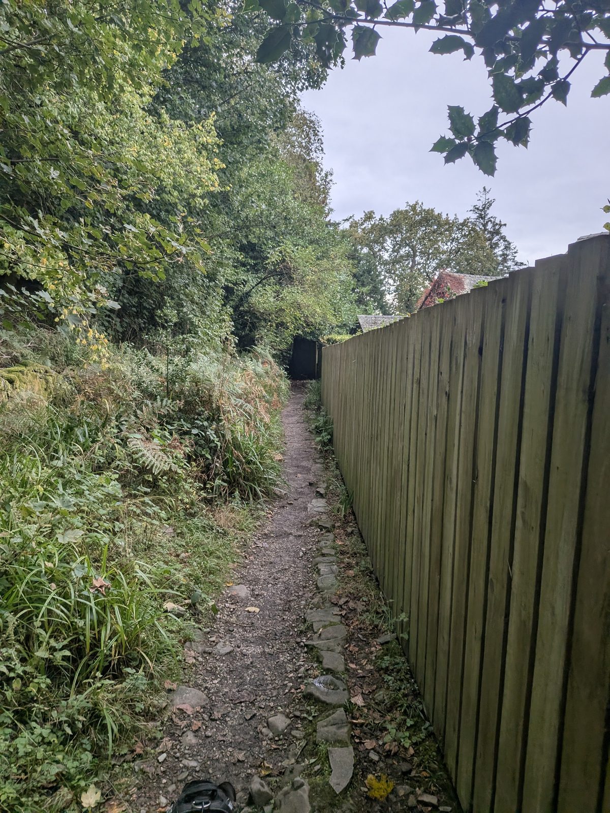 A narrow path running beside a tall wooden fence behind houses