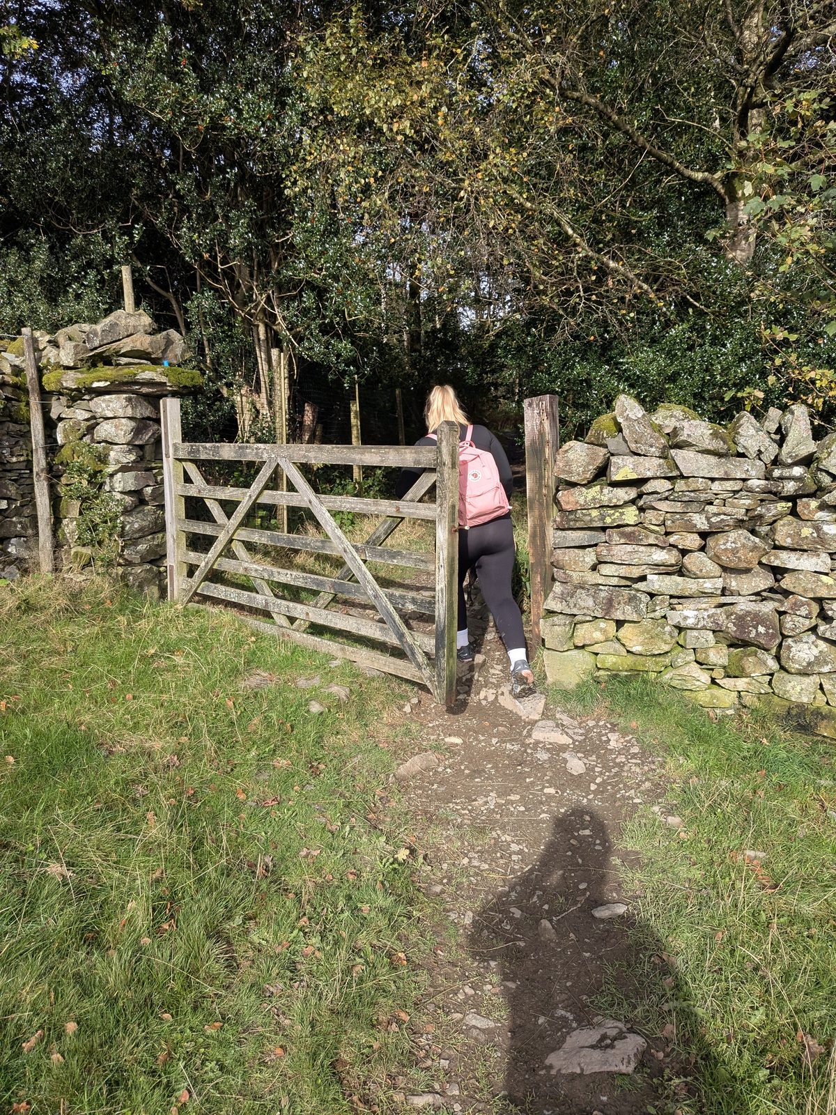 Maddie opening the wooden field gate in a drystone wall on the path up Orrest Head