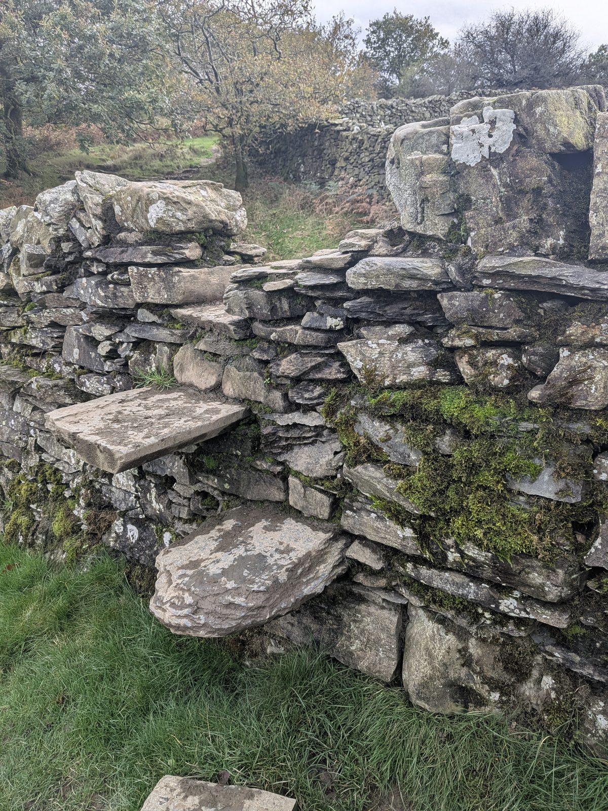Stone steps built into a drystone wall, the step stile on the way down from Orrest Head