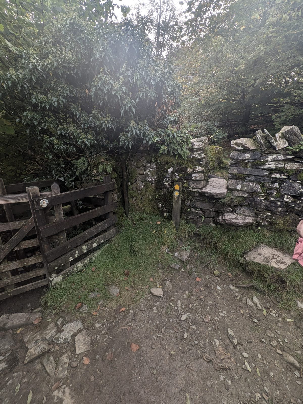 A wooden gate and the stone step stile in the wall below the top of Orrest Head