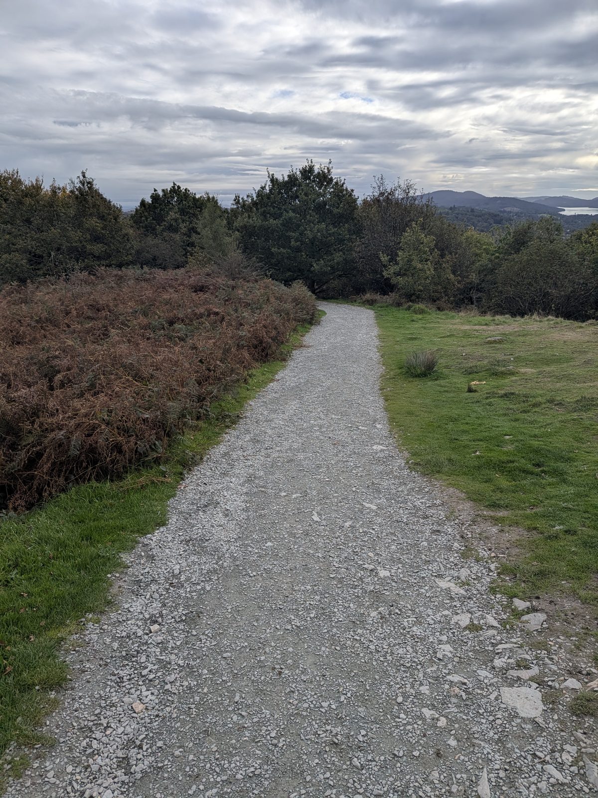 The wide surfaced path near the top of Orrest Head, the main and easiest way up, between bracken and grass