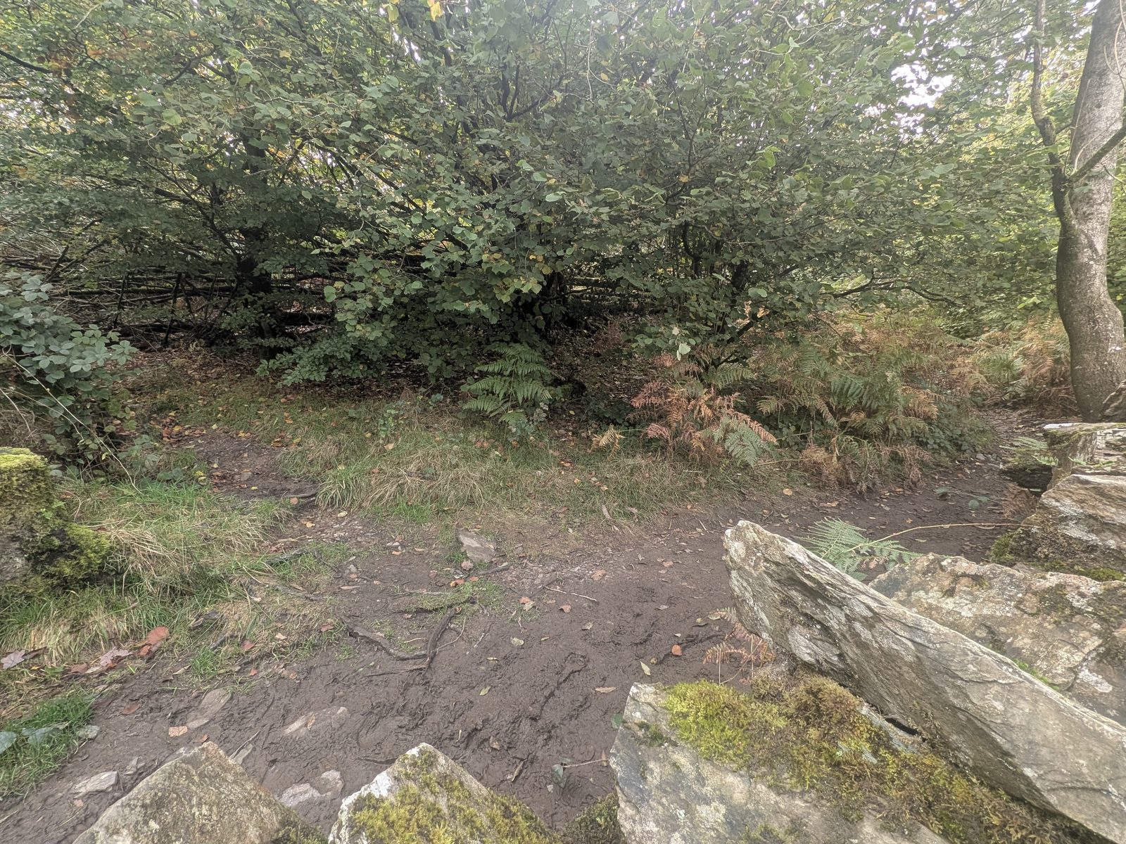 The rocky path turning right after the stile, climbing towards the top of Orrest Head