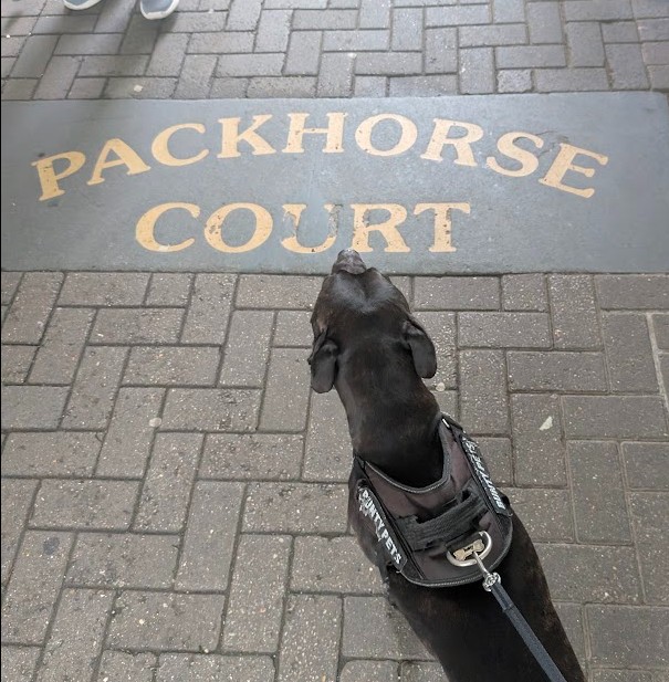 Cass, a Staffordshire Bull Terrier, on the Packhorse Court floor sign, Keswick