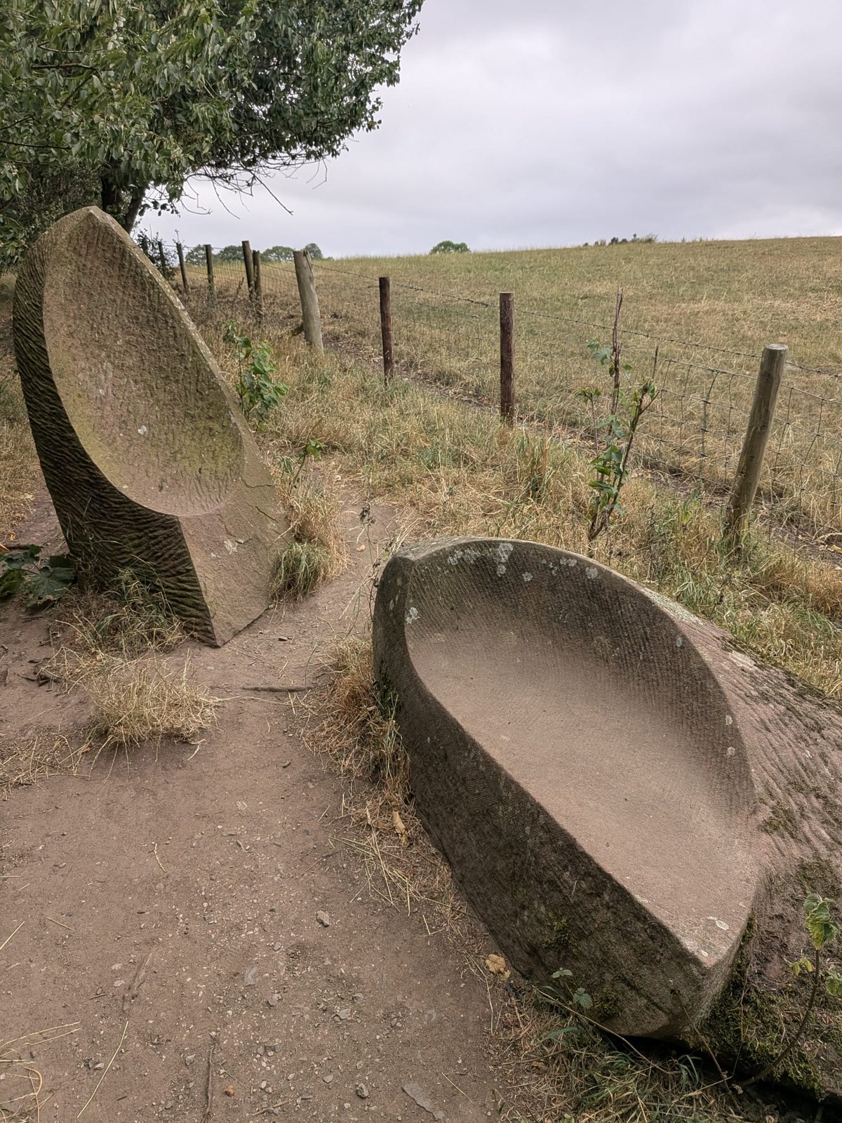 Carved stone seats by sculptor Vivien Mousdell on the Ladies Walk at Edenhall