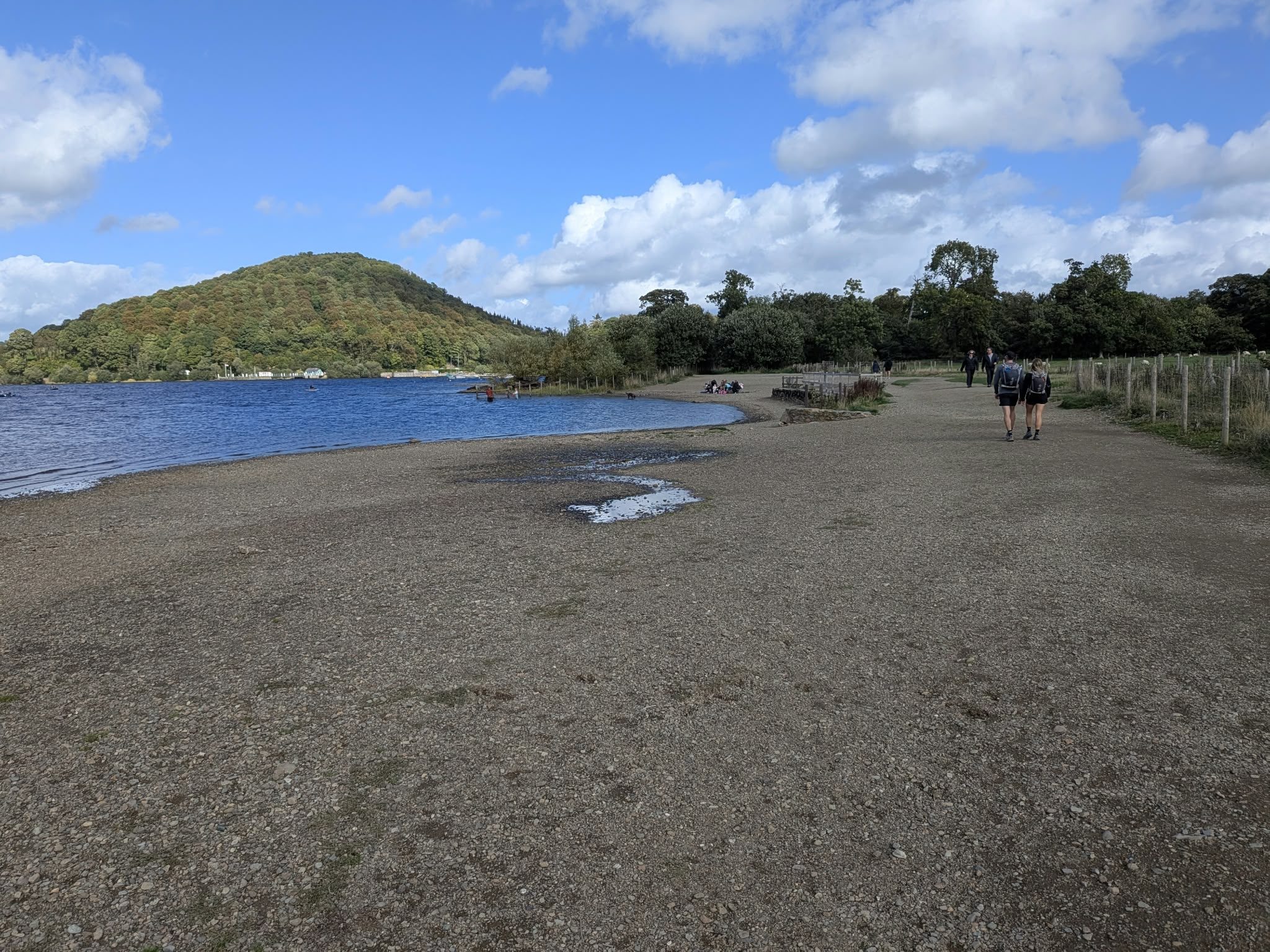Dunmallard Hill, the wooded hill rising behind the beach on the Ullswater shore path near Pooley Bridge