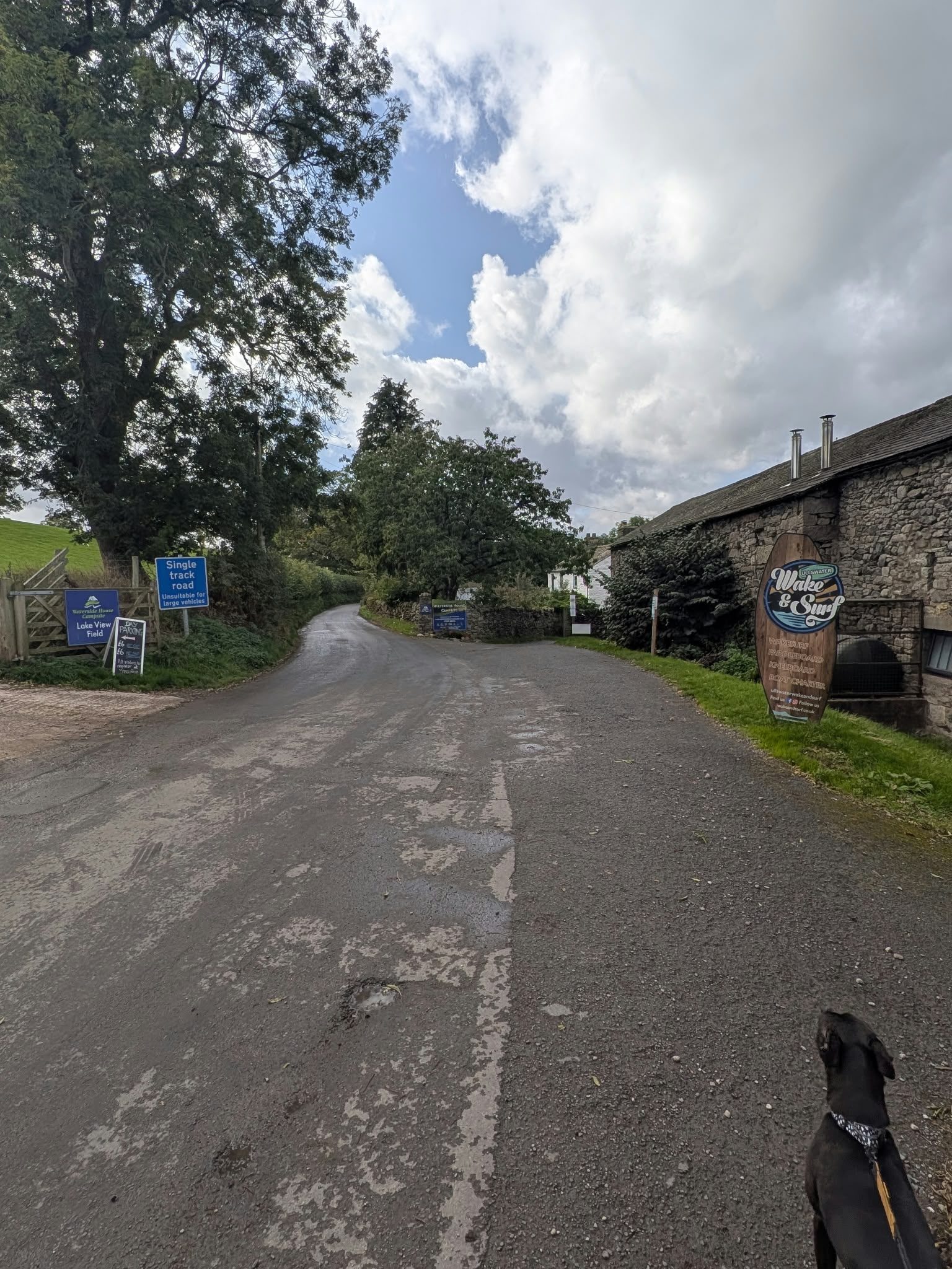 The lane beside a stone building at the Waterside campsite near Pooley Bridge, with Cass, a Staffordshire Bull Terrier, on the lead
